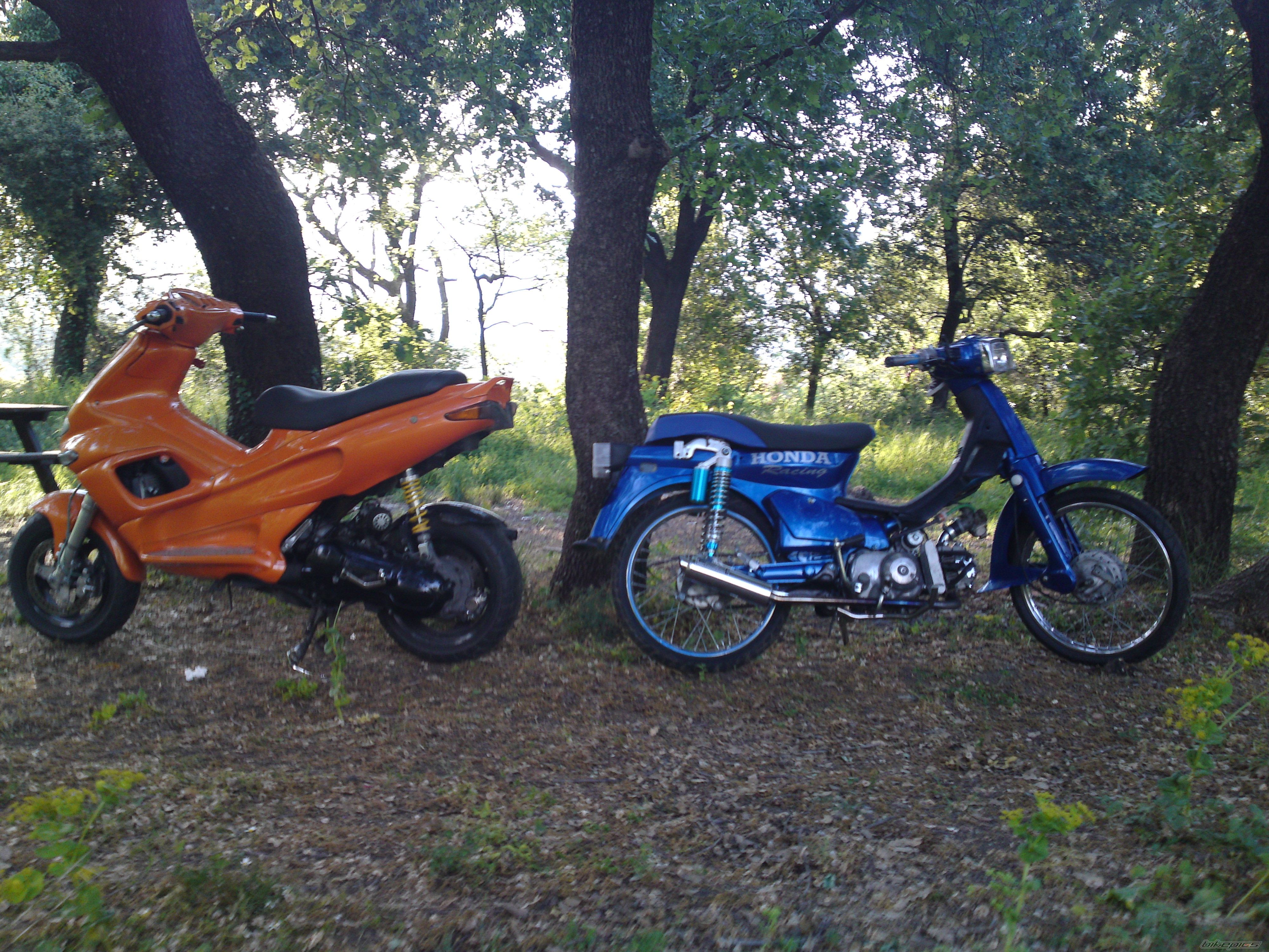 1990 HONDA C 90 | Picture 1958305 motorcycle photo
