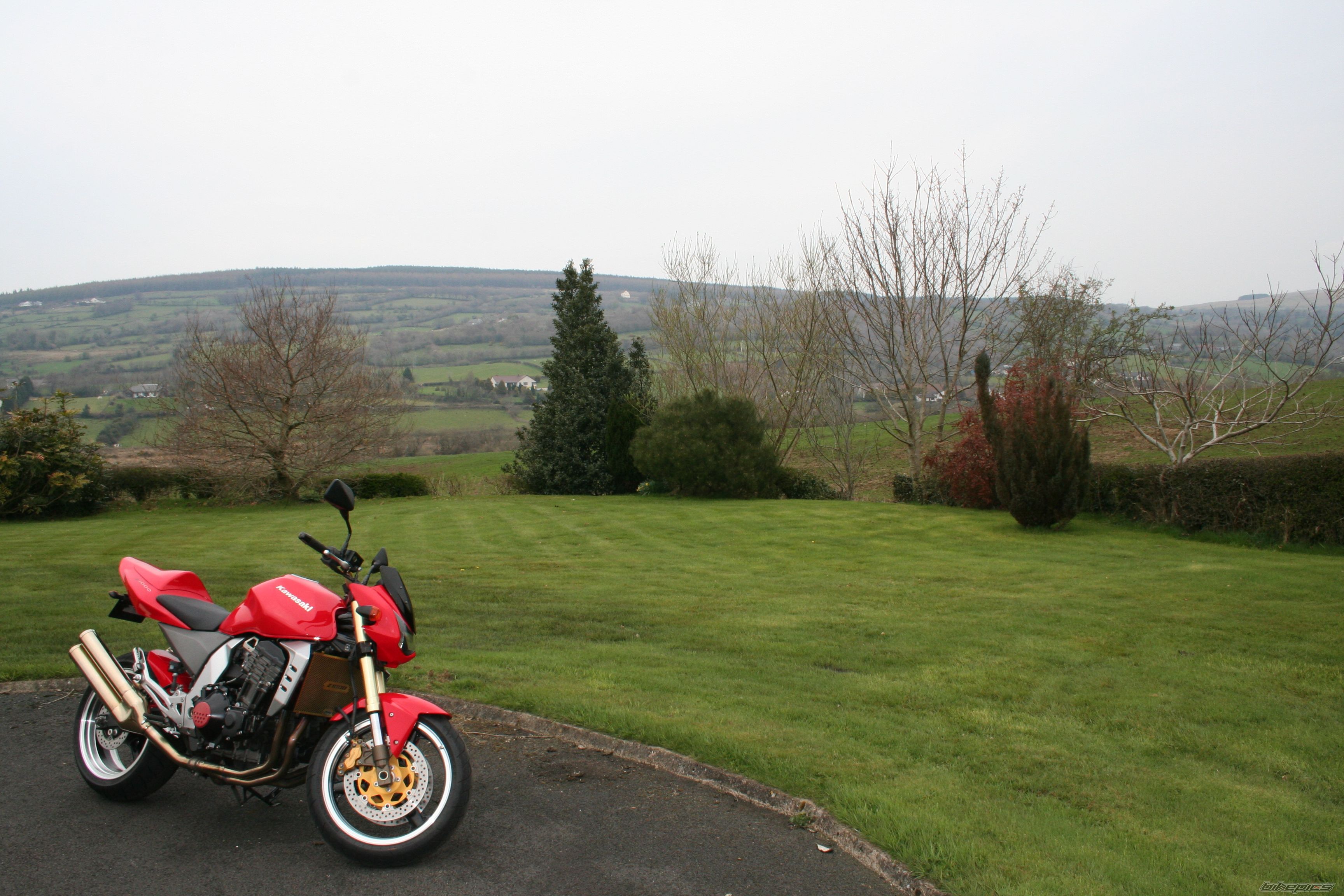 2004 KAWASAKI Z 1000 | Picture 1958383 motorcycle photo