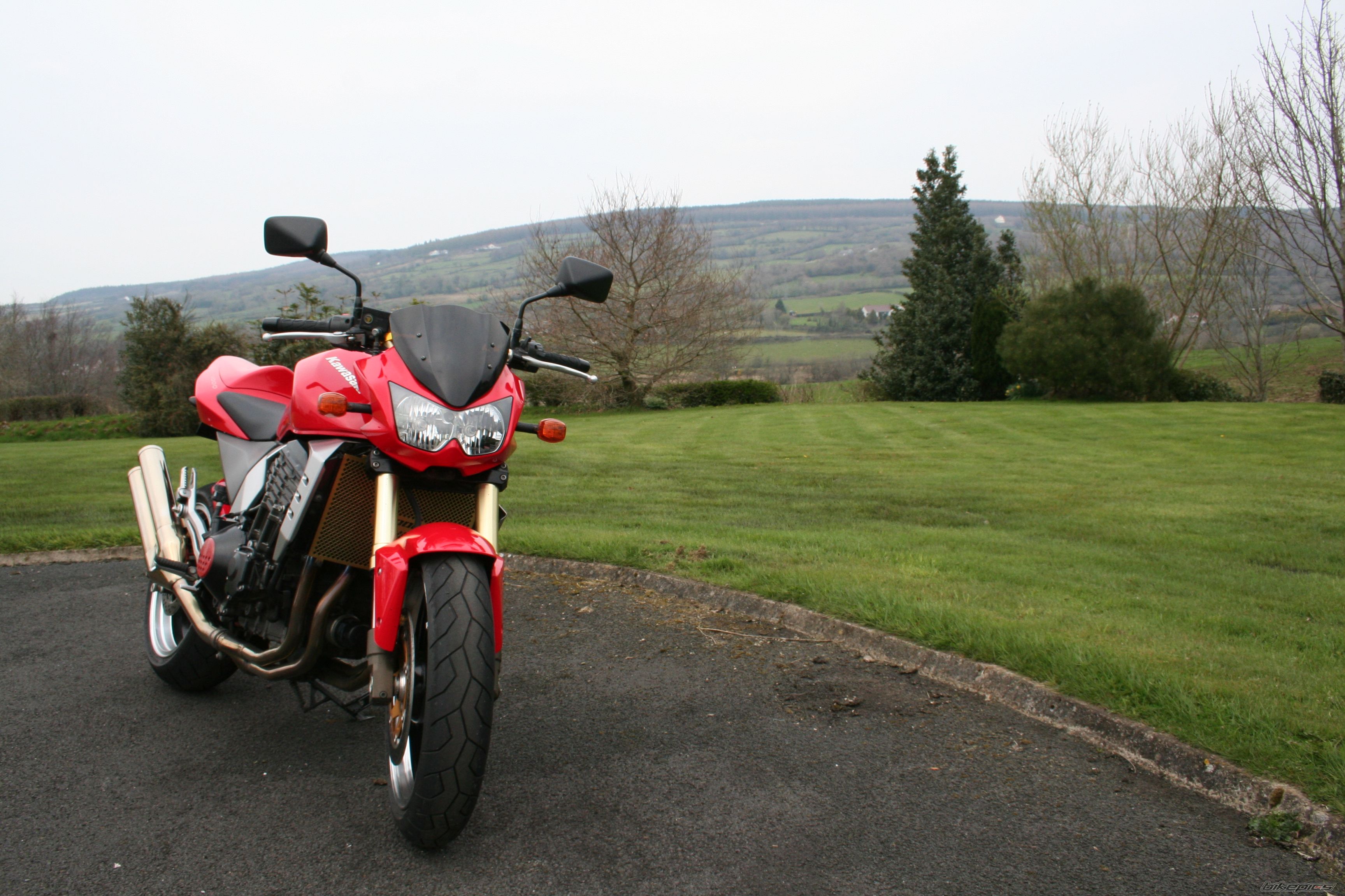 2004 KAWASAKI Z 1000 | Picture 1958394 motorcycle photo