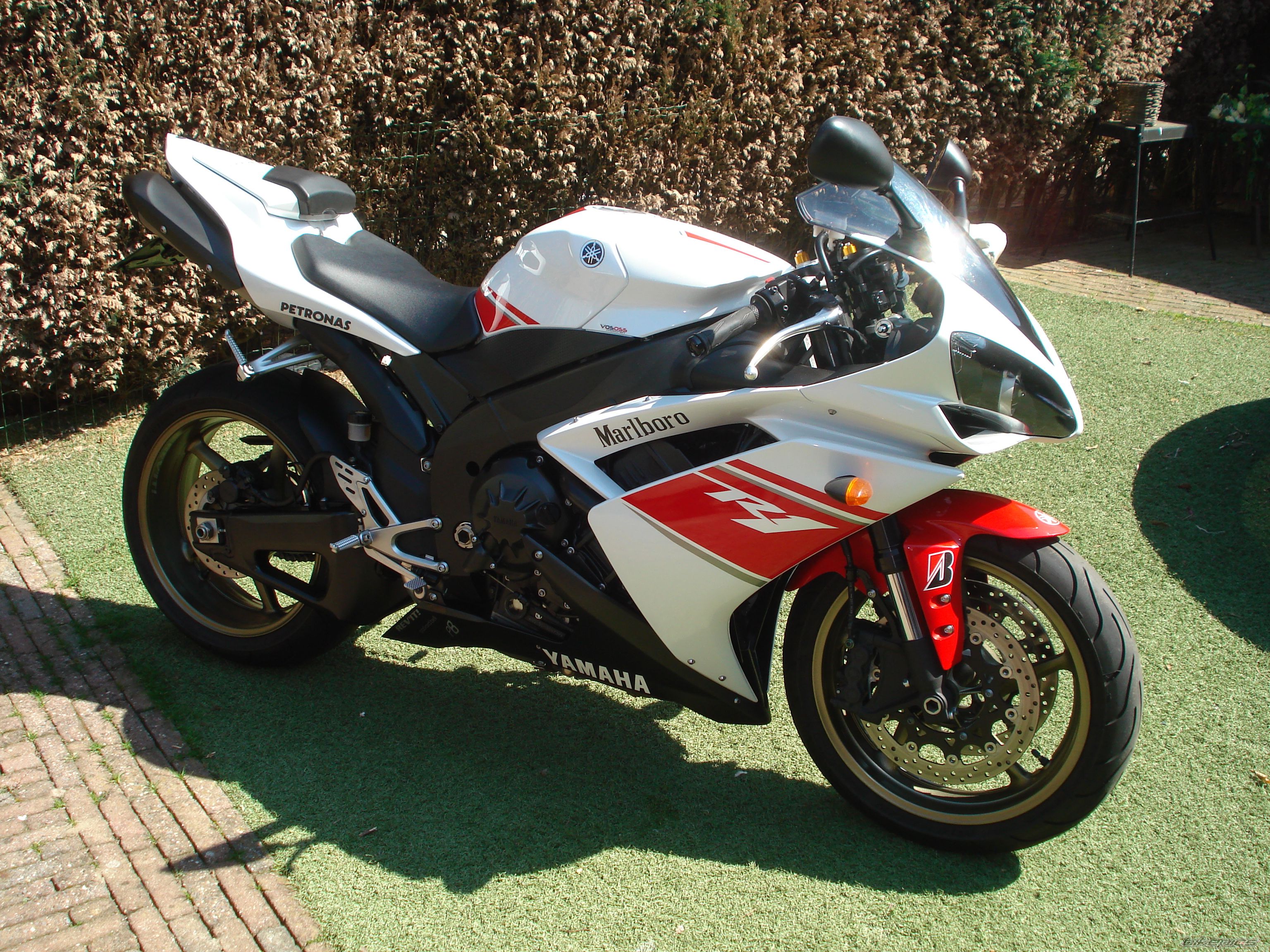 2008 YAMAHA YZF R1 | Picture 1958399 motorcycle photo