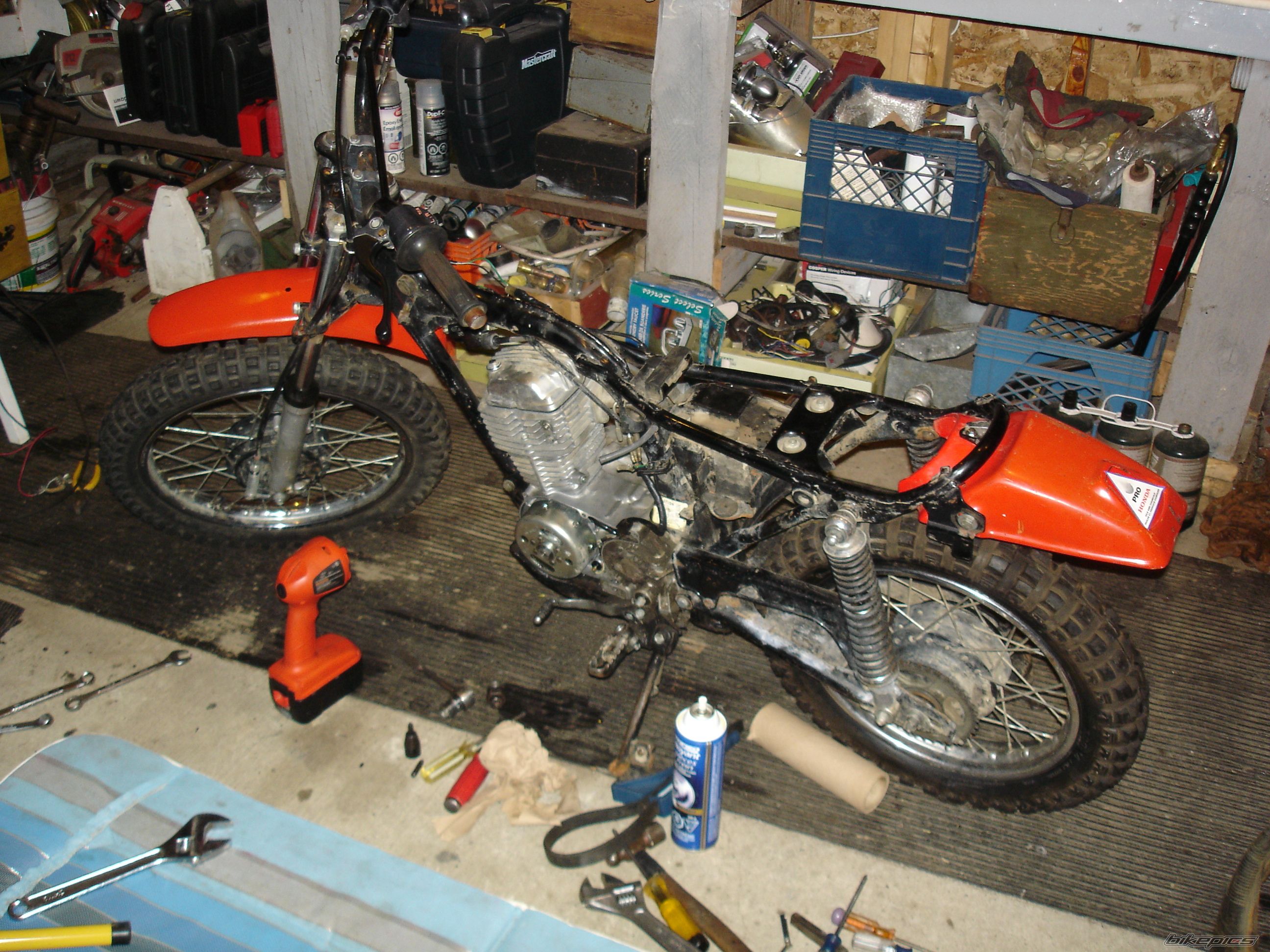 1978 HONDA XL 75 | Picture 1959527 motorcycle photo