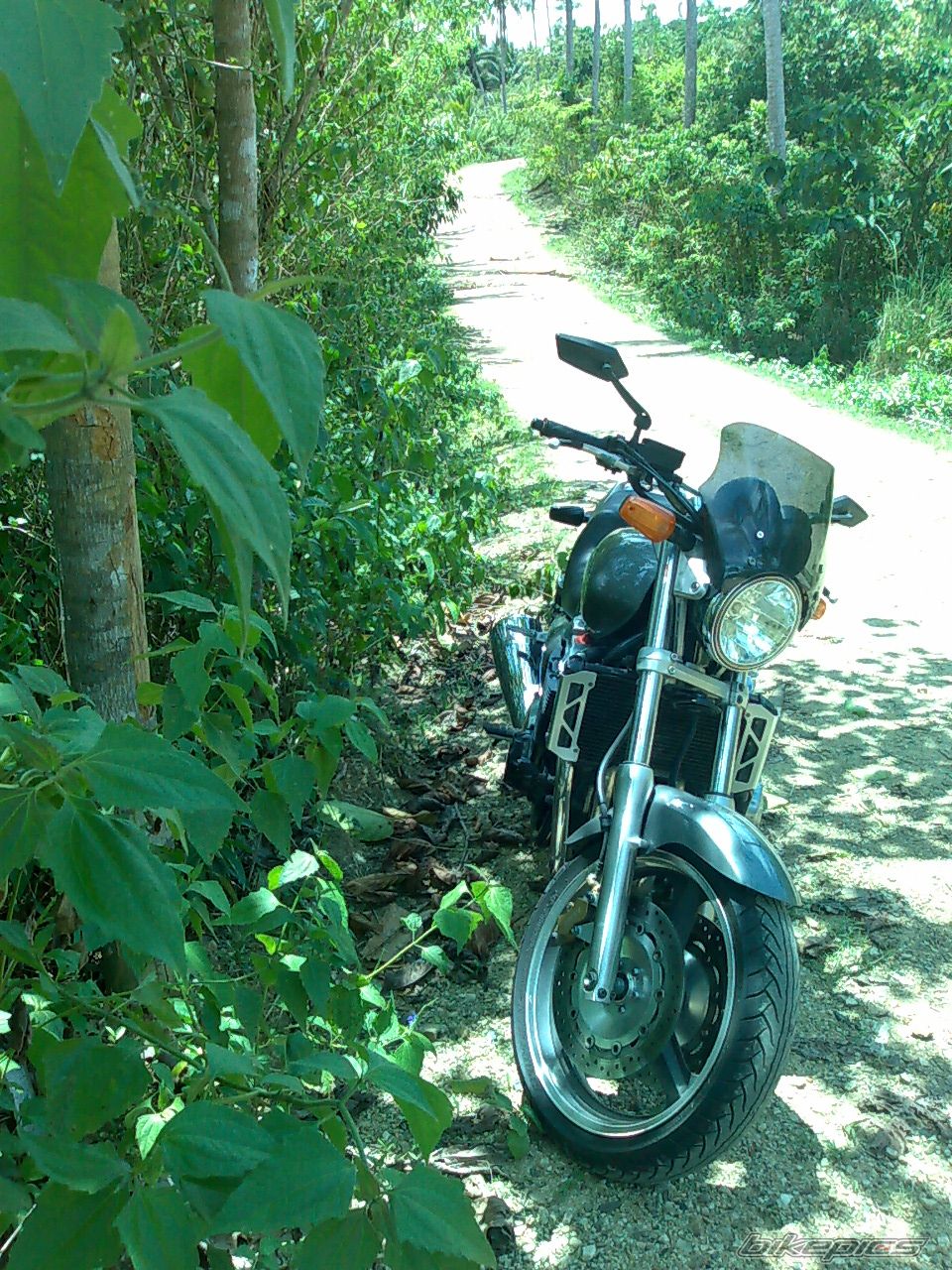 1997 HONDA X4 | Picture 1959574 motorcycle photo