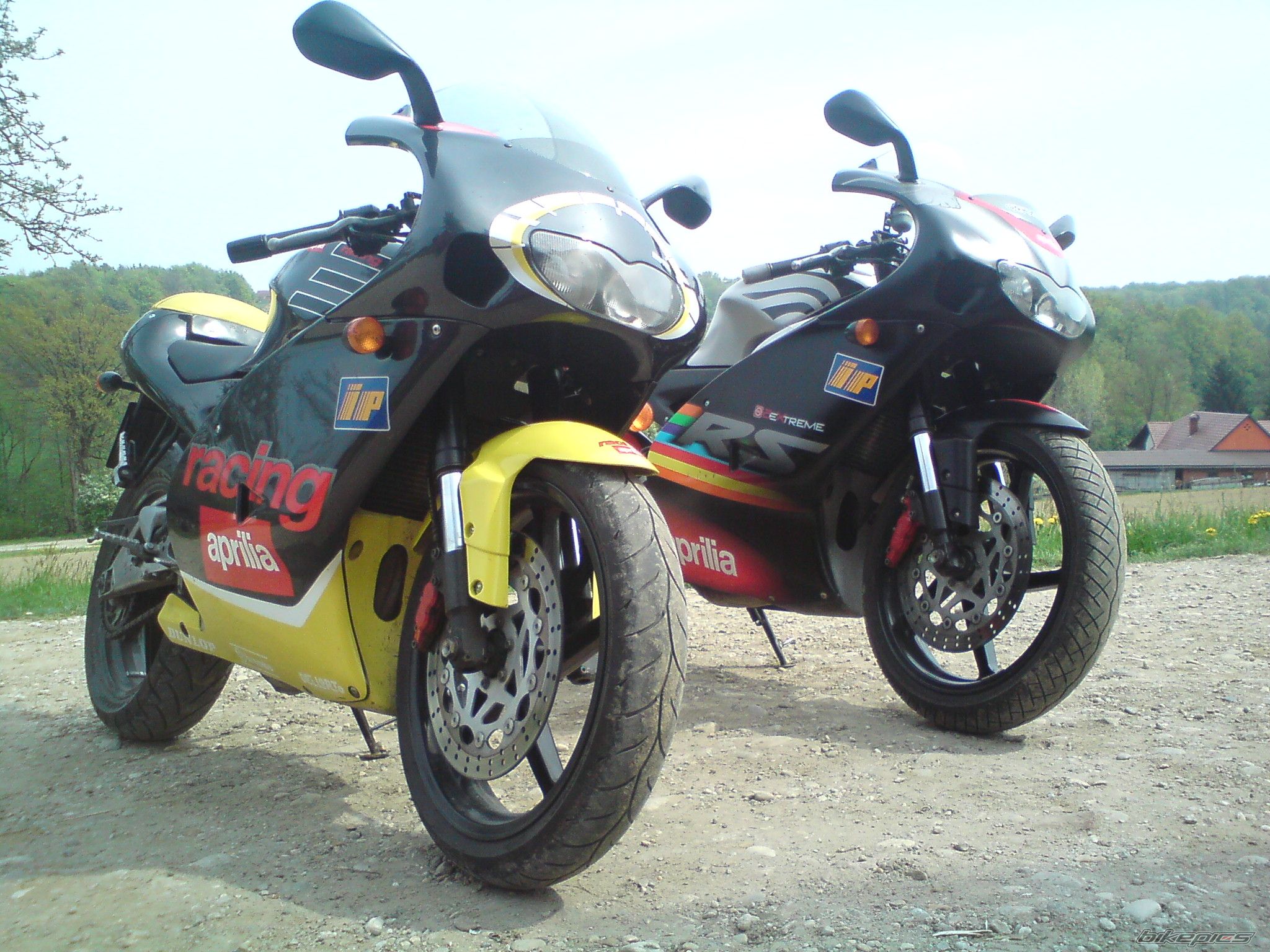 2009 APRILIA RS 50 | Picture 1959765 motorcycle photo