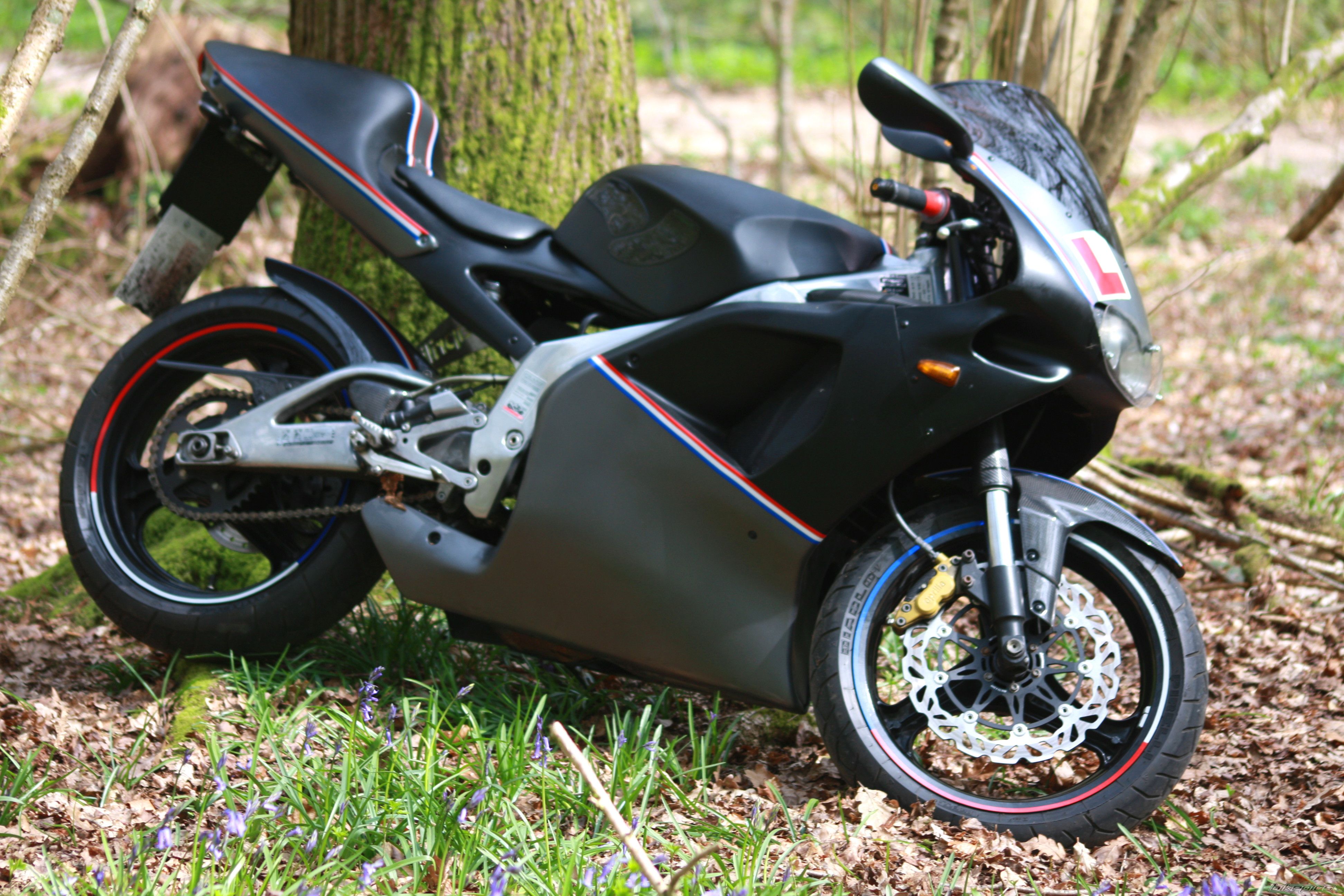 1996 APRILIA RS 125 | Picture 1959824 motorcycle photo