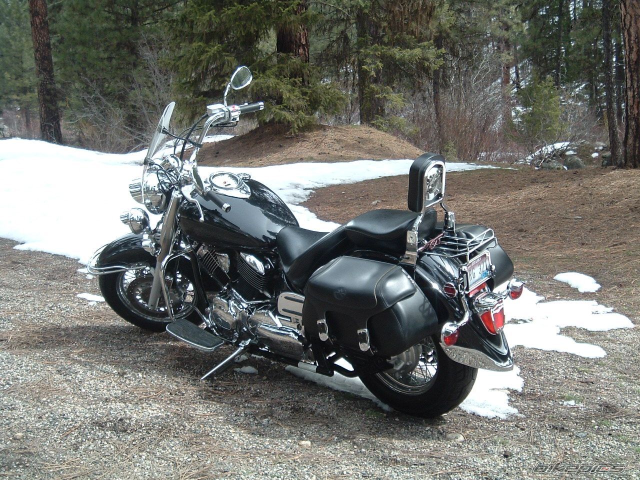 2003 YAMAHA XVS 1100 | Picture 1960195 motorcycle photo