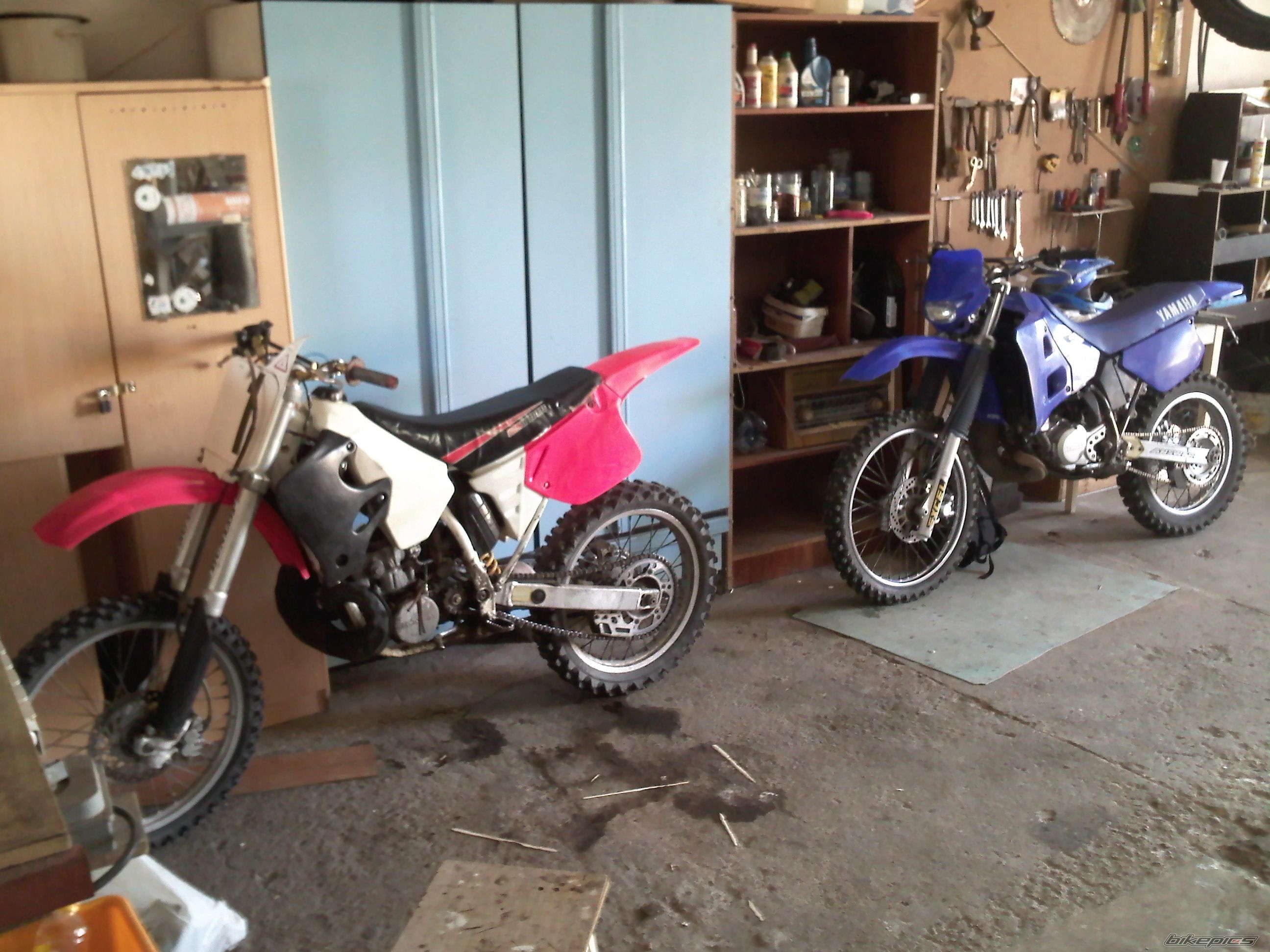 1995 HONDA CR 250 | Picture 1960937 motorcycle photo