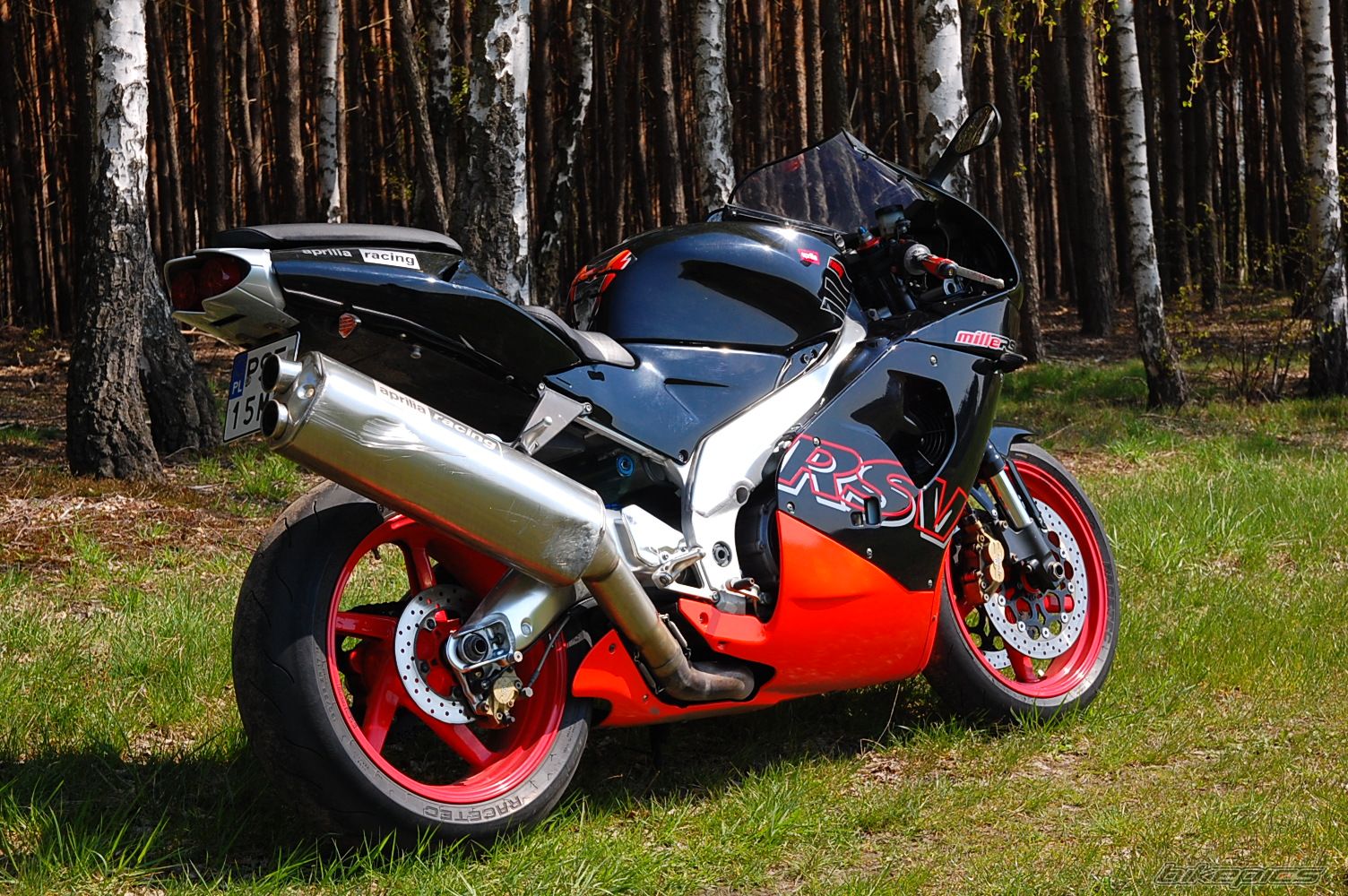 2001 APRILIA RSV 1000 MILLE | Picture 1961238 motorcycle photo