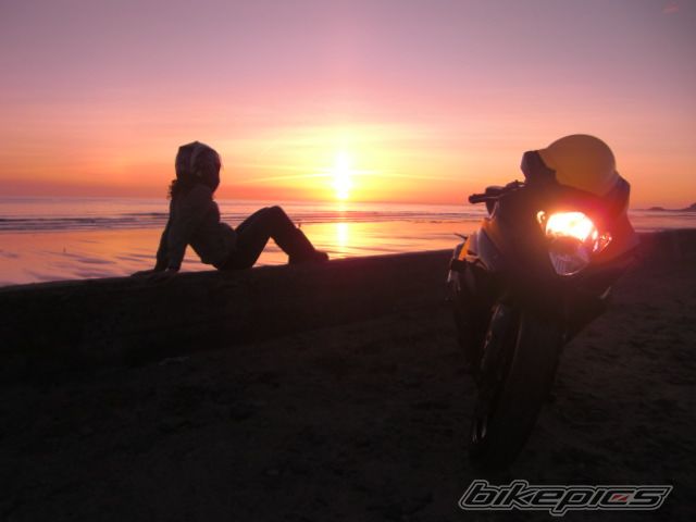 2005 SUZUKI GSX R 1000 | Picture 1961282 motorcycle photo