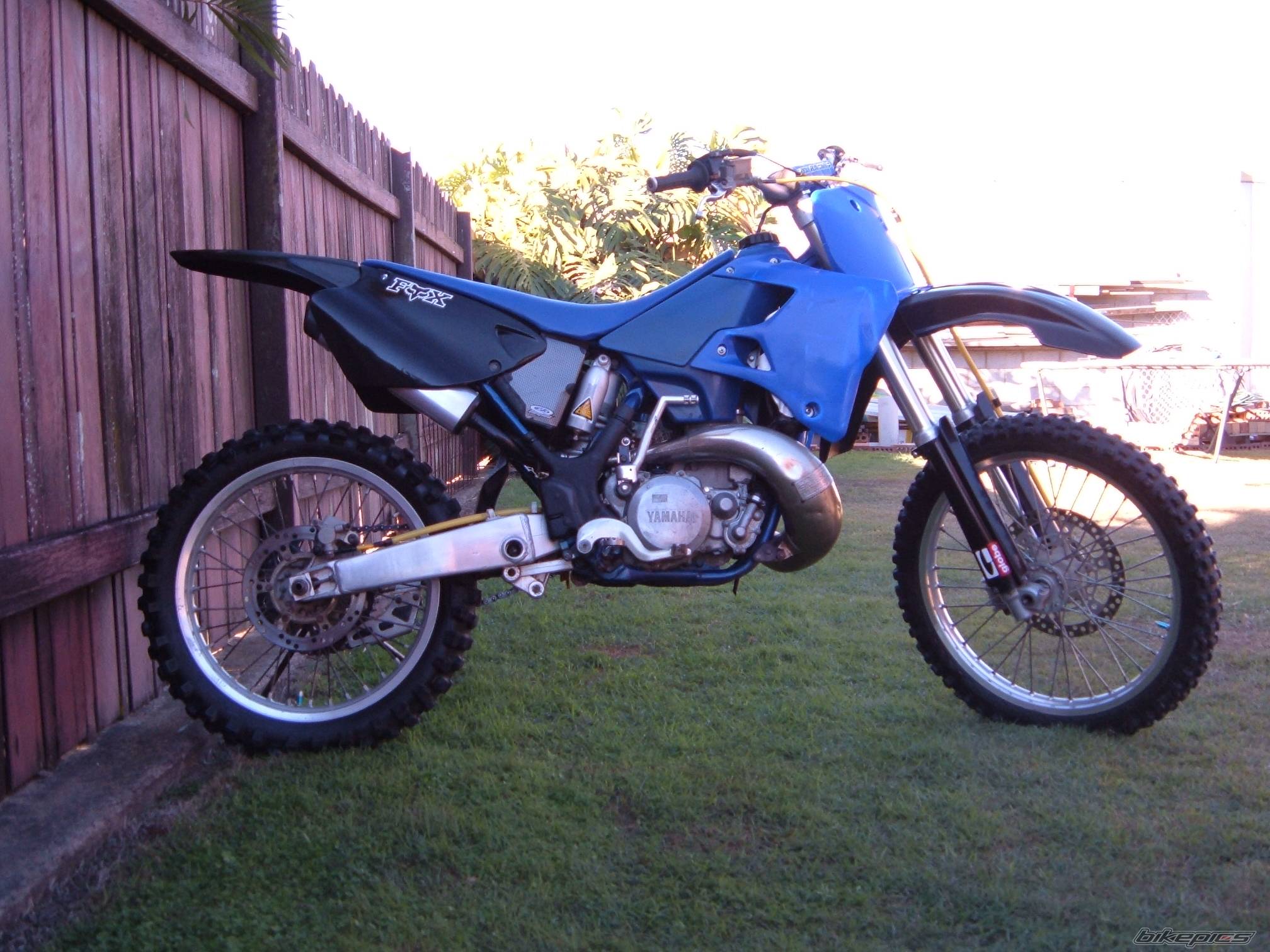1999 YAMAHA YZ 250 | Picture 196157 motorcycle photo
