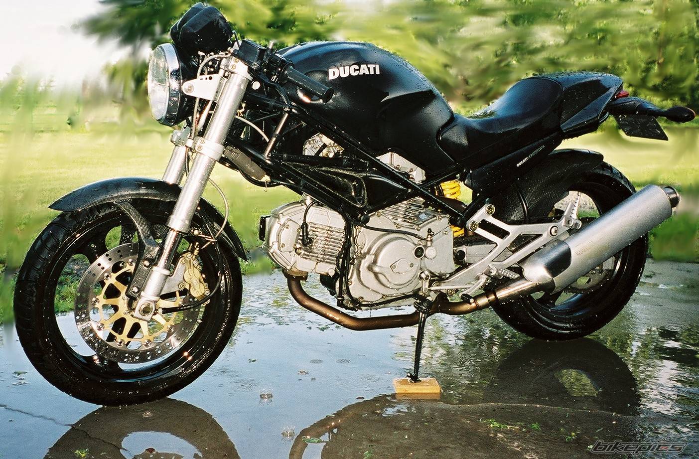 2001 DUCATI MONSTER 600 | Picture 196225 motorcycle photo