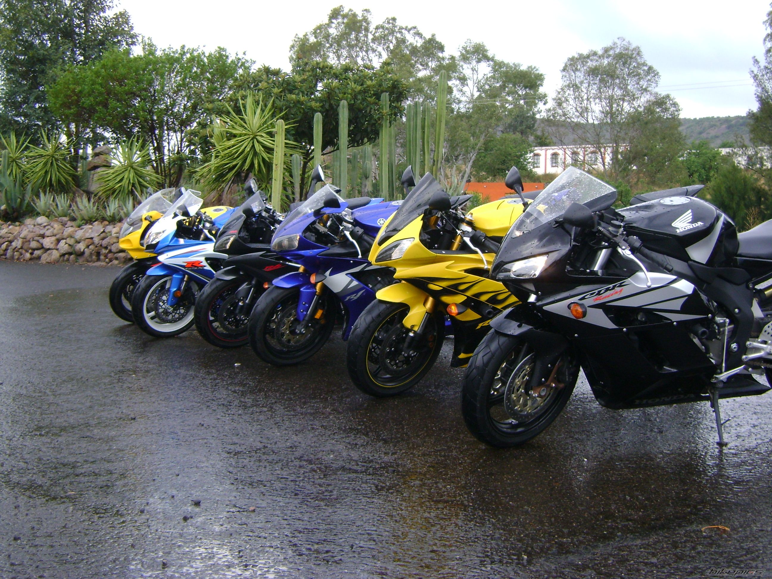2008 YAMAHA YZF R6 | Picture 1962477 motorcycle photo