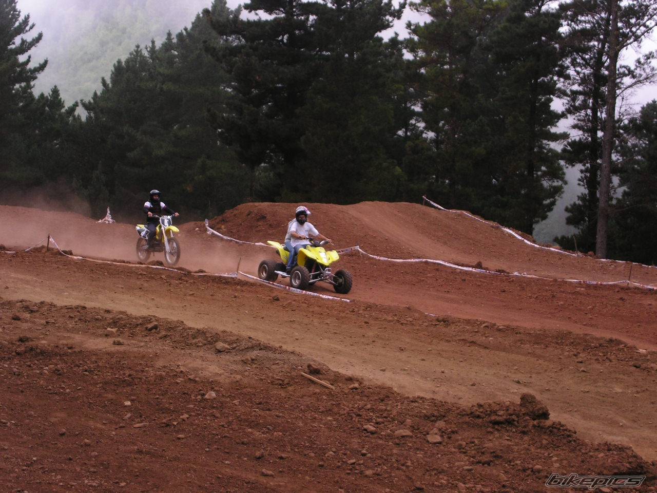 2004 SUZUKI RMX 250 | Picture 196270 motorcycle photo