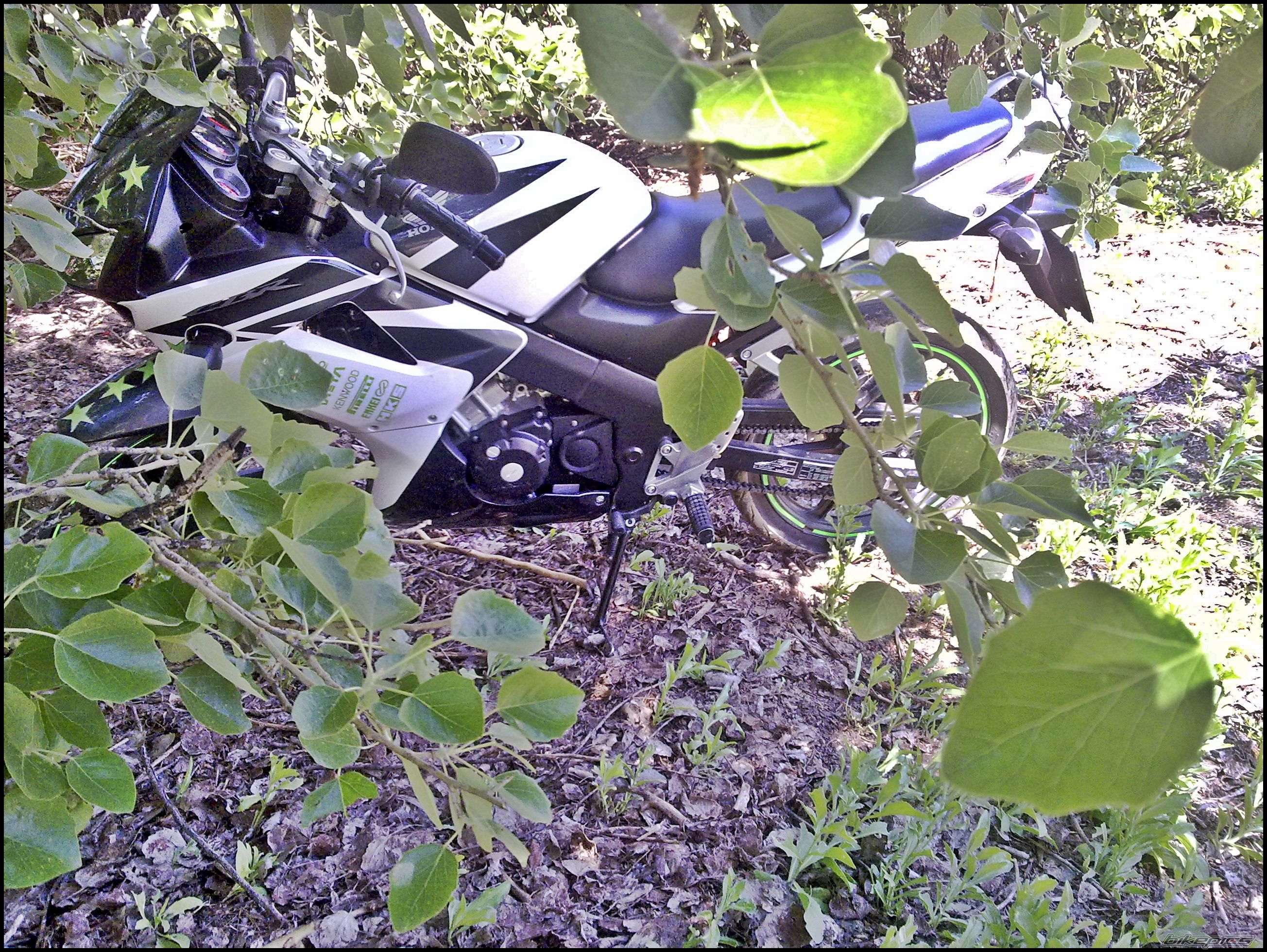 2008 HONDA CBR 125 | Picture 1963008 motorcycle photo
