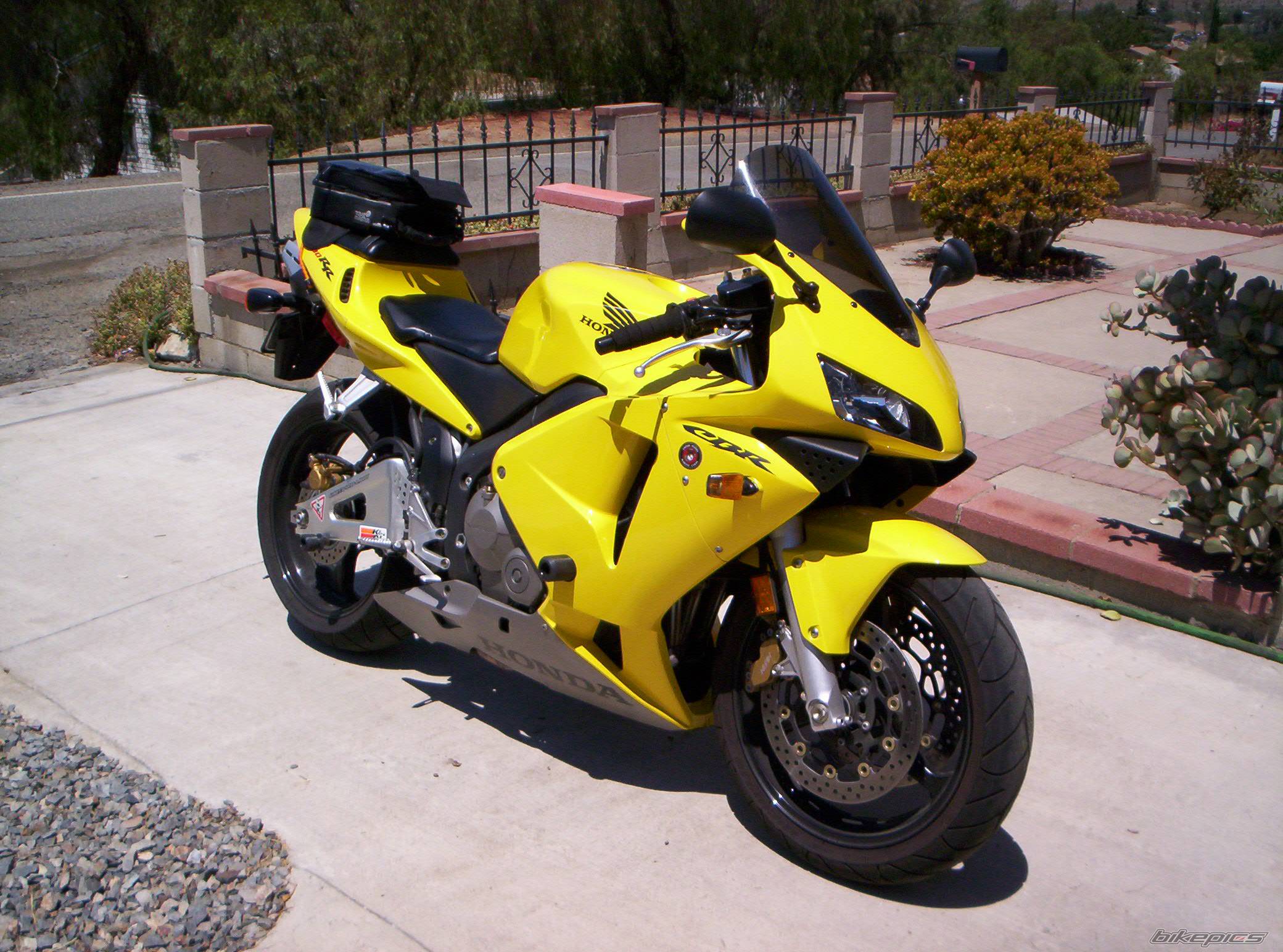 2003 HONDA CBR 600 | Picture 196308 motorcycle photo