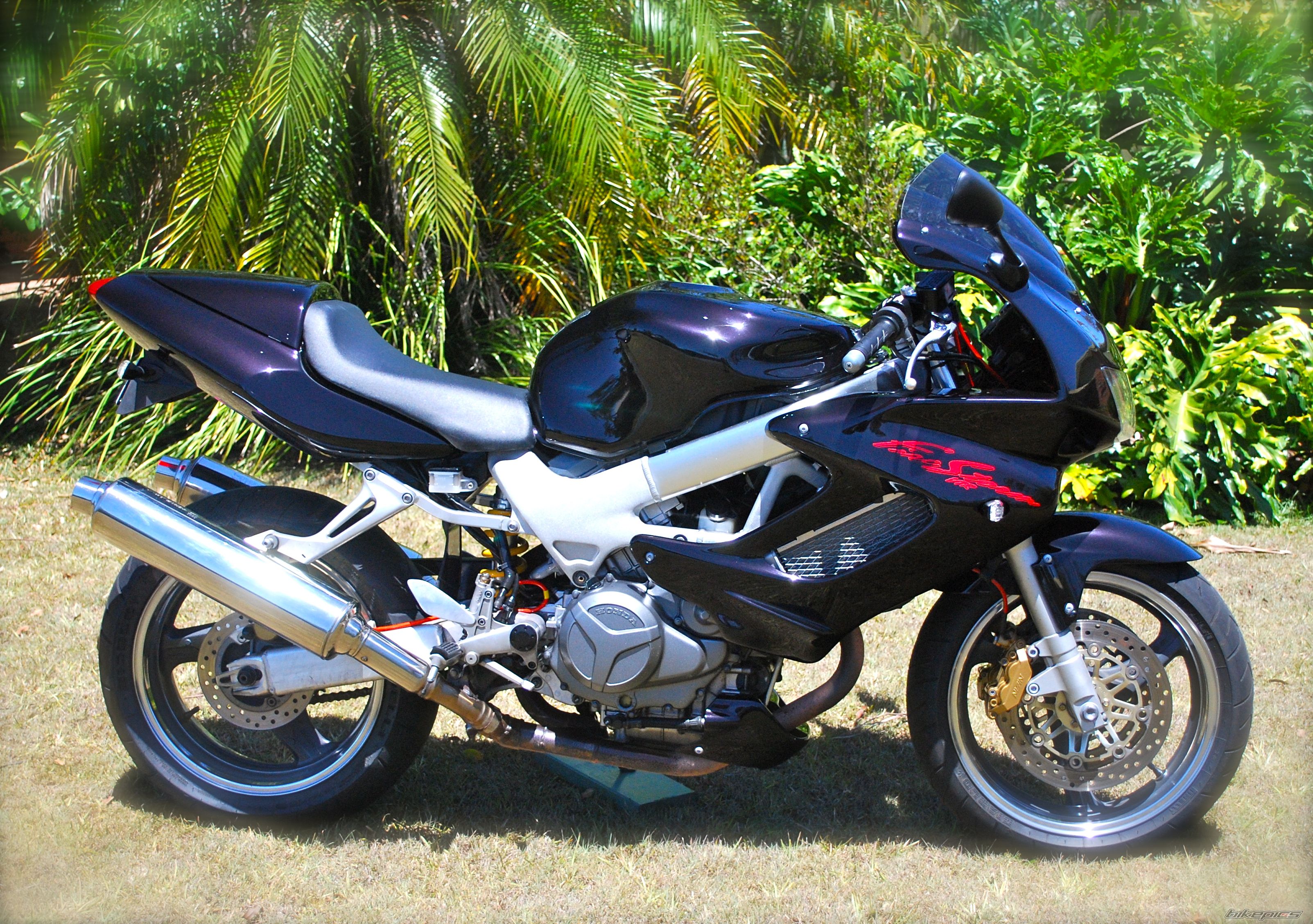 1998 HONDA VTR 1000 | Picture 1963186 motorcycle photo