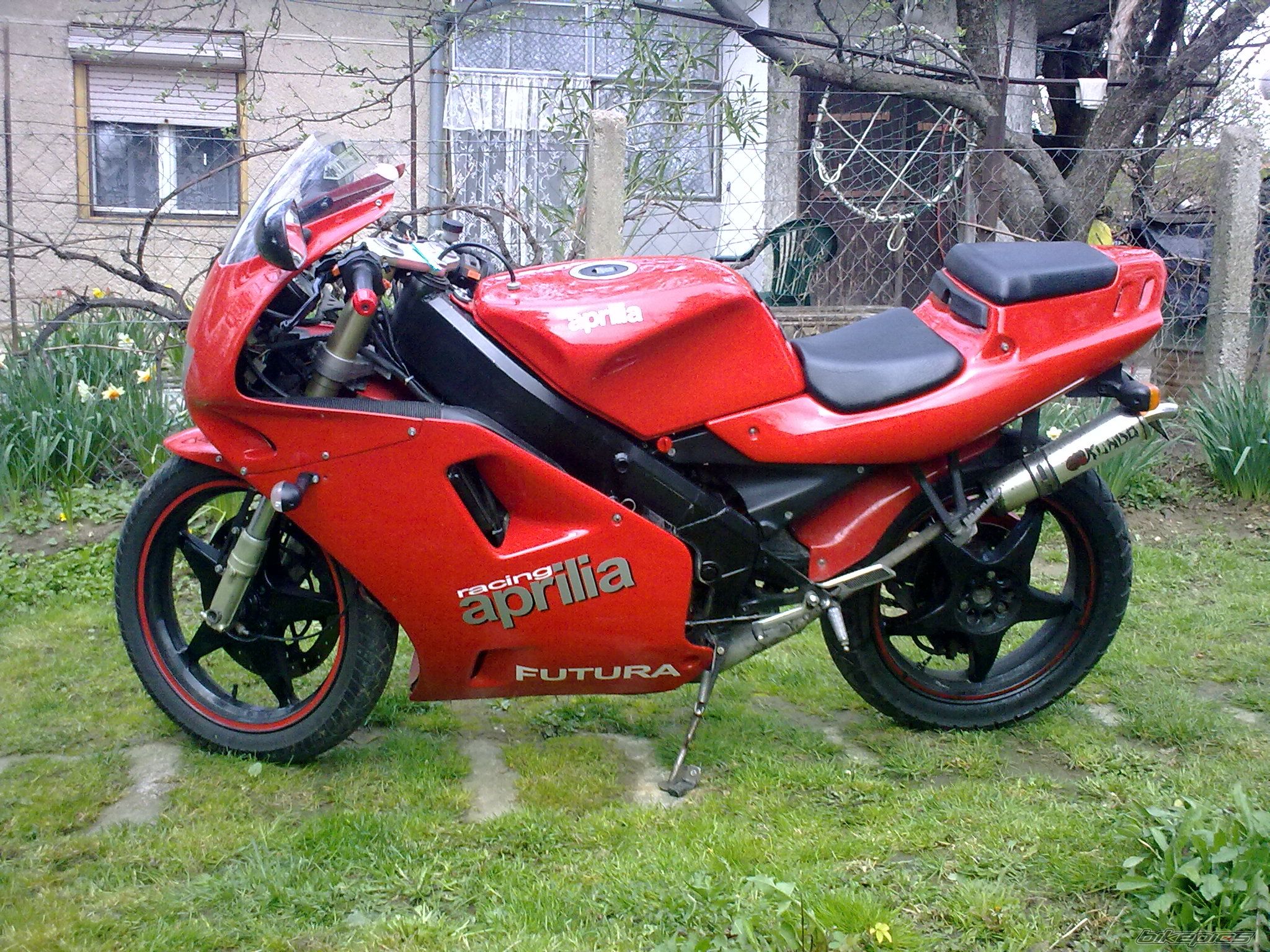 1991 APRILIA AF1 FUTURA 125 | Picture 1963602 motorcycle photo