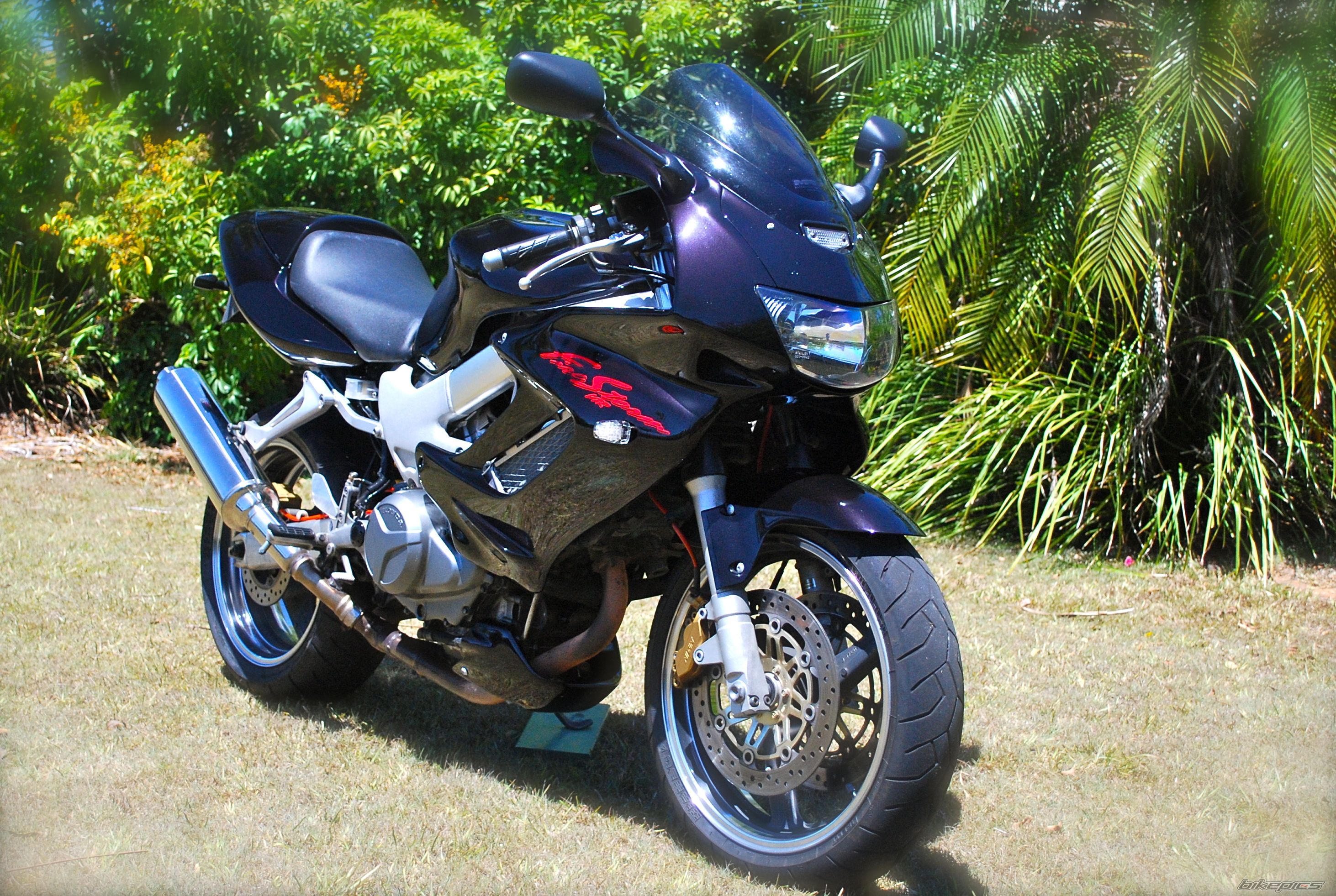 1998 HONDA VTR 1000 | Picture 1964426 motorcycle photo