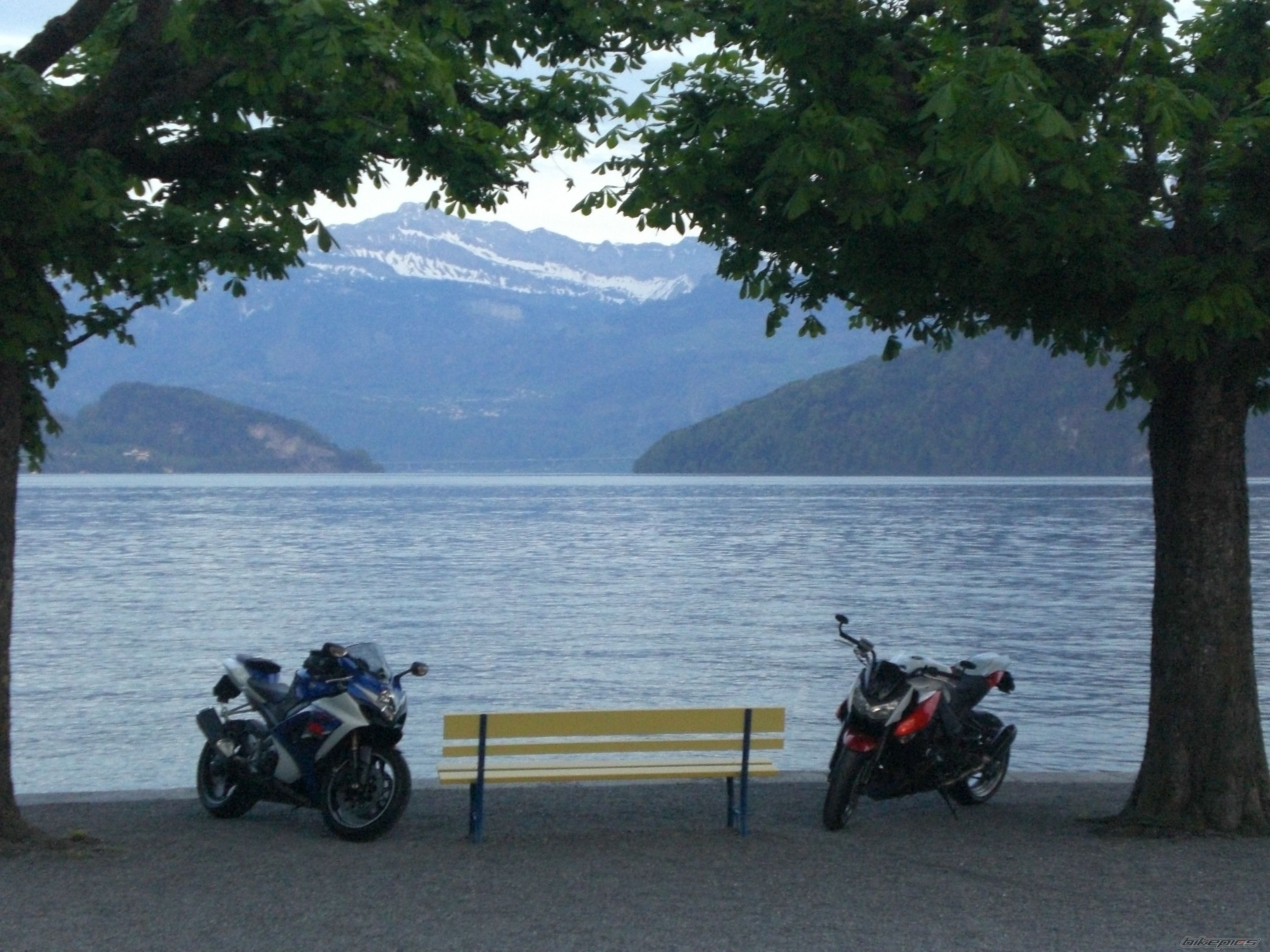2007 SUZUKI GSX R 1000 | Picture 1964536 motorcycle photo