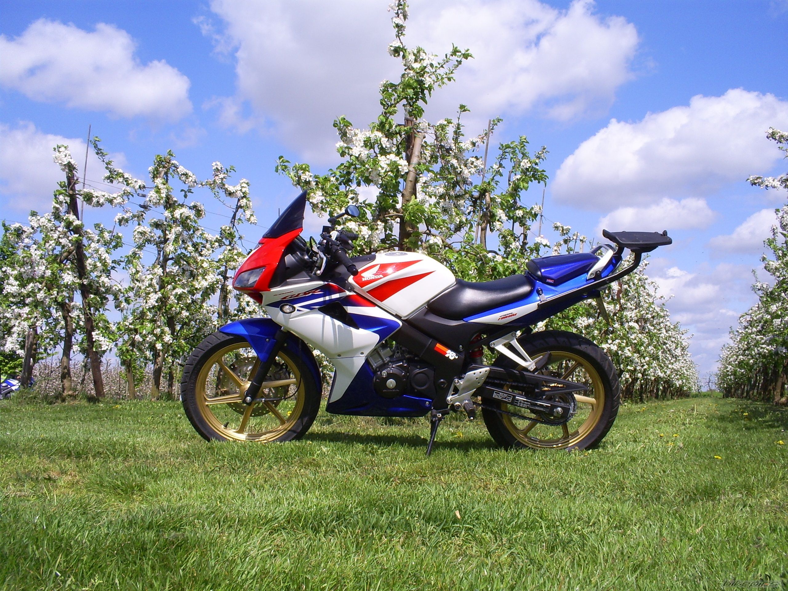 2009 HONDA CBR 125 | Picture 1964878 motorcycle photo