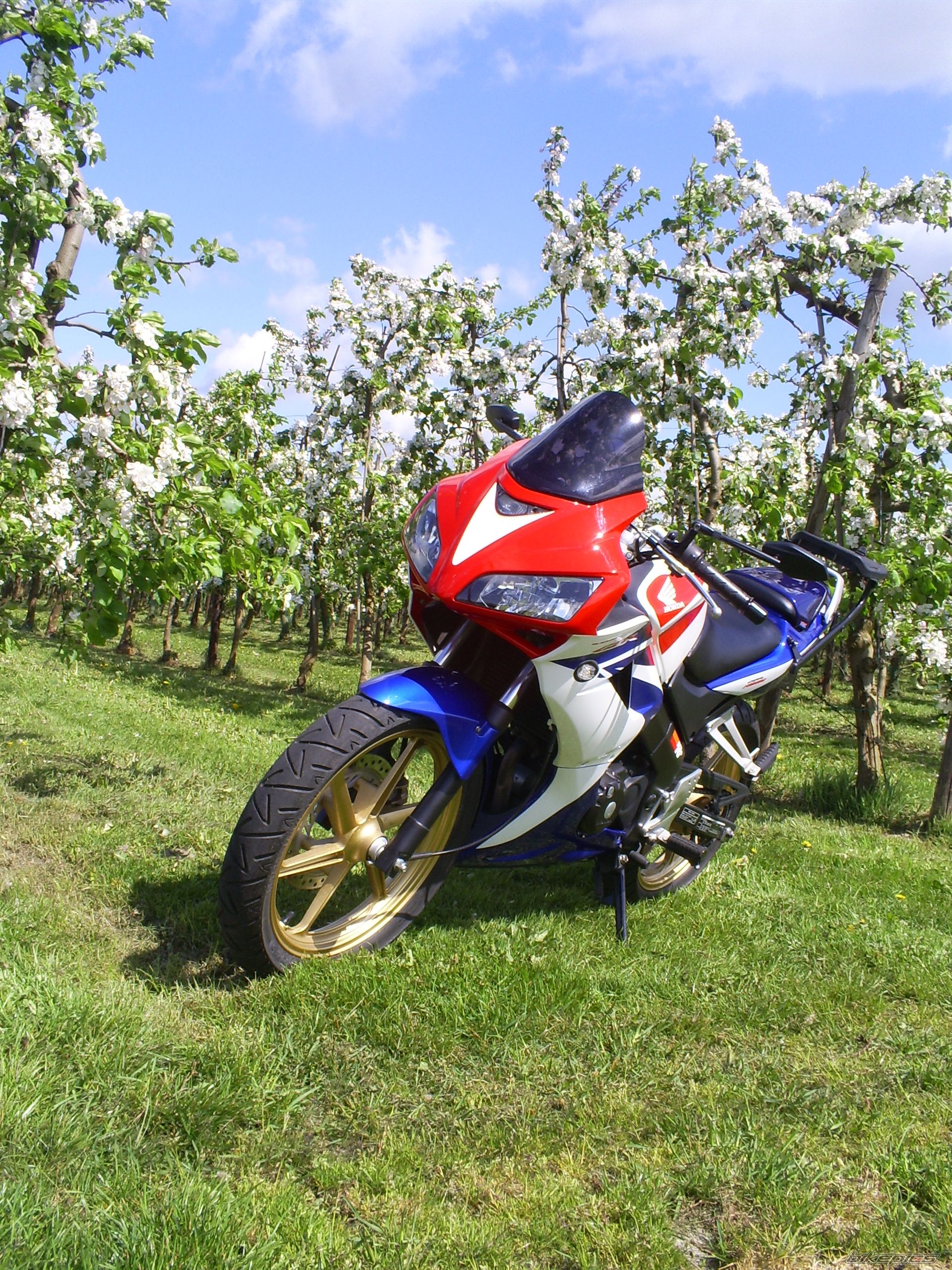 2009 HONDA CBR 125 | Picture 1964884 motorcycle photo