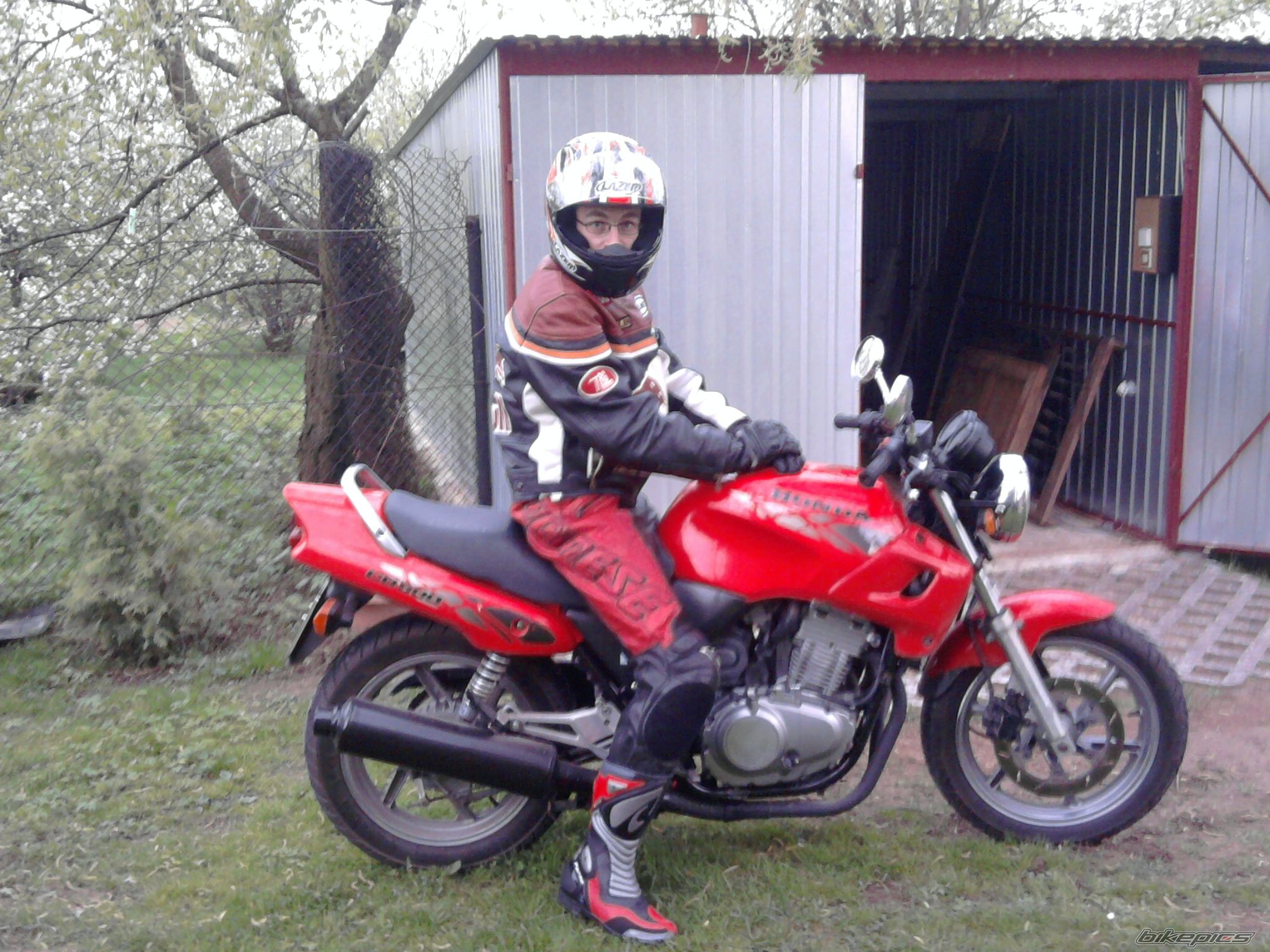 1994 HONDA CB 500 | Picture 1964908 motorcycle photo