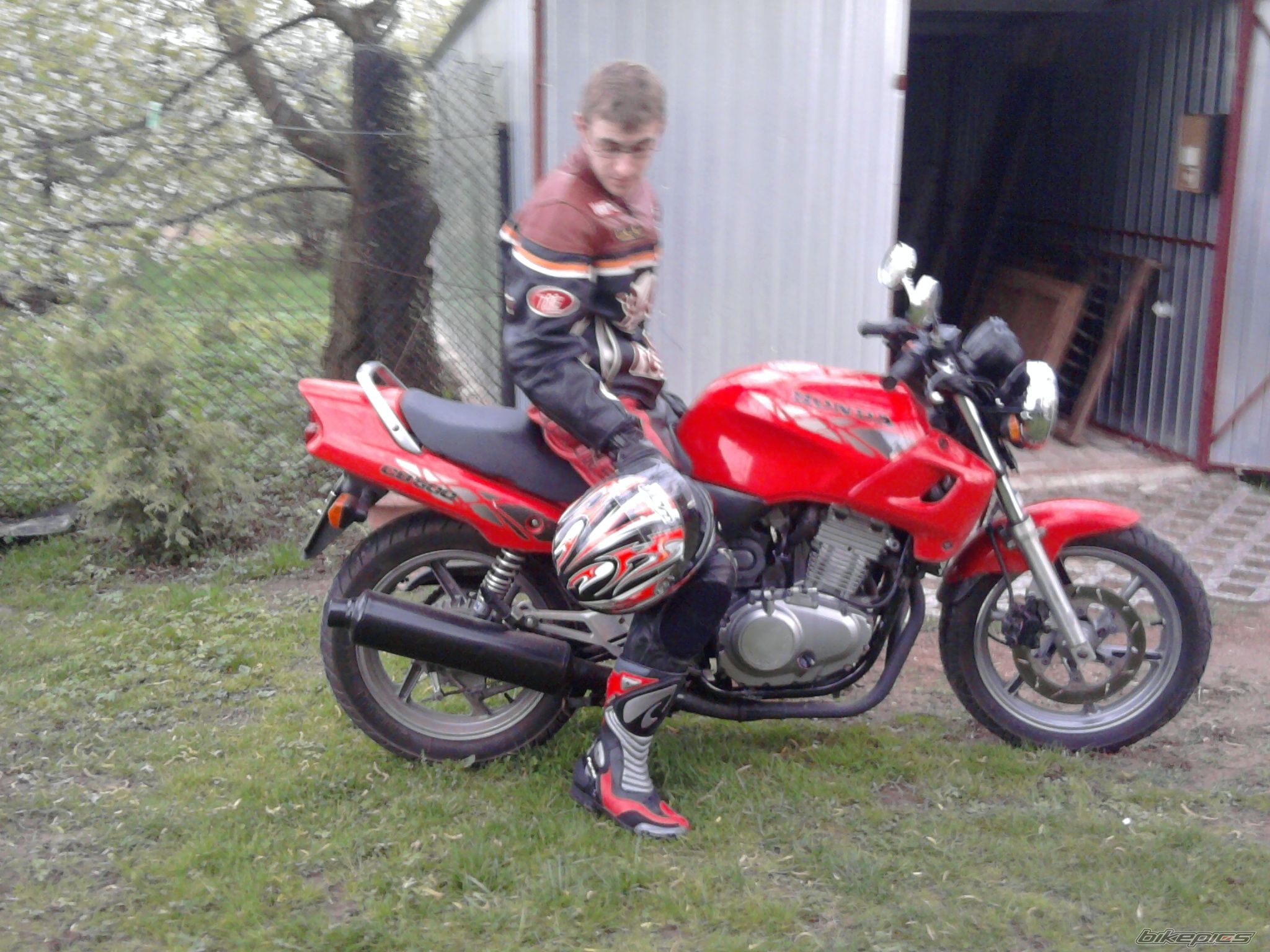 1994 HONDA CB 500 | Picture 1964910 motorcycle photo