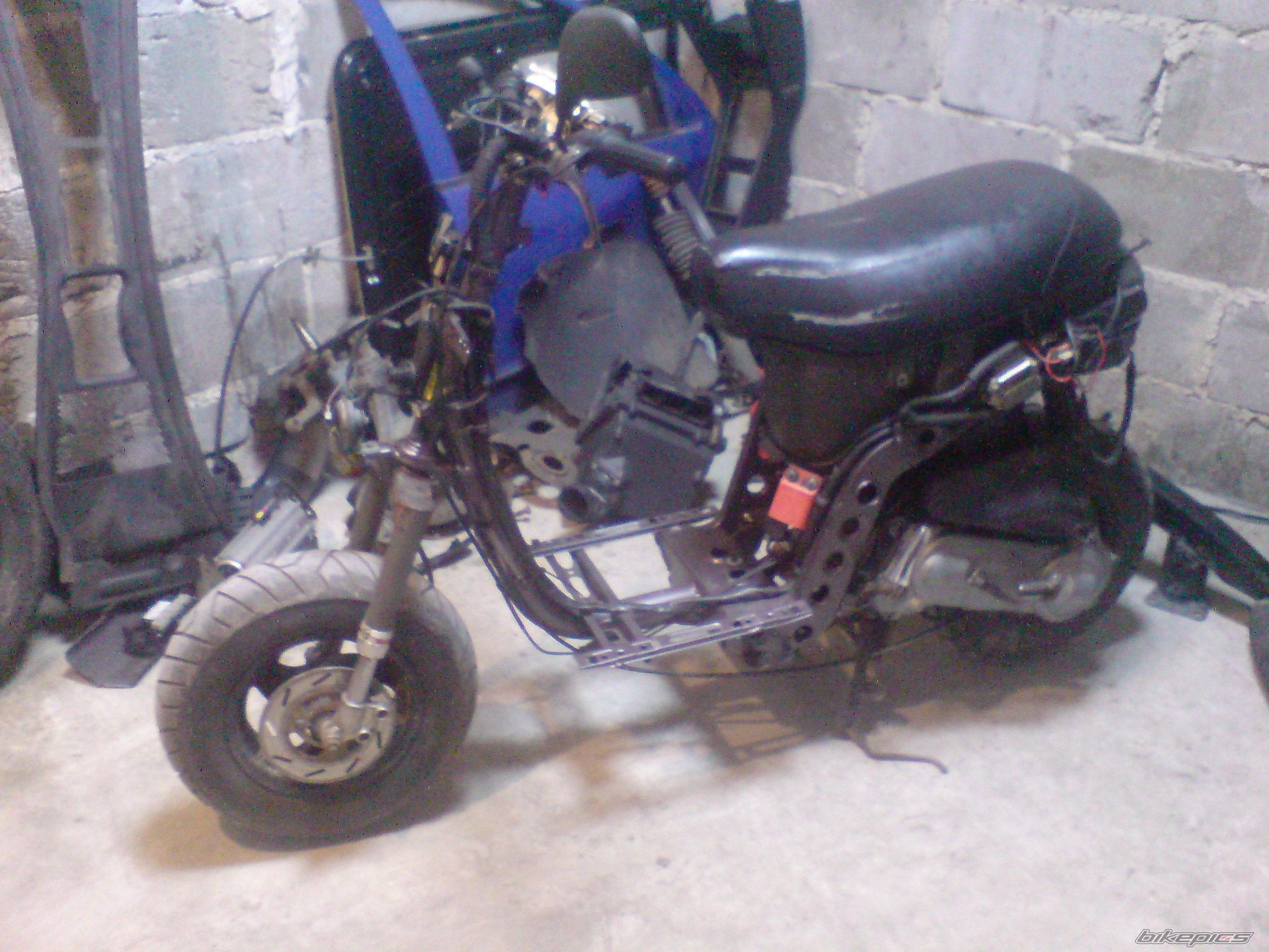 2002 PIAGGIO TYPHOON 50 | Picture 1965331 motorcycle photo