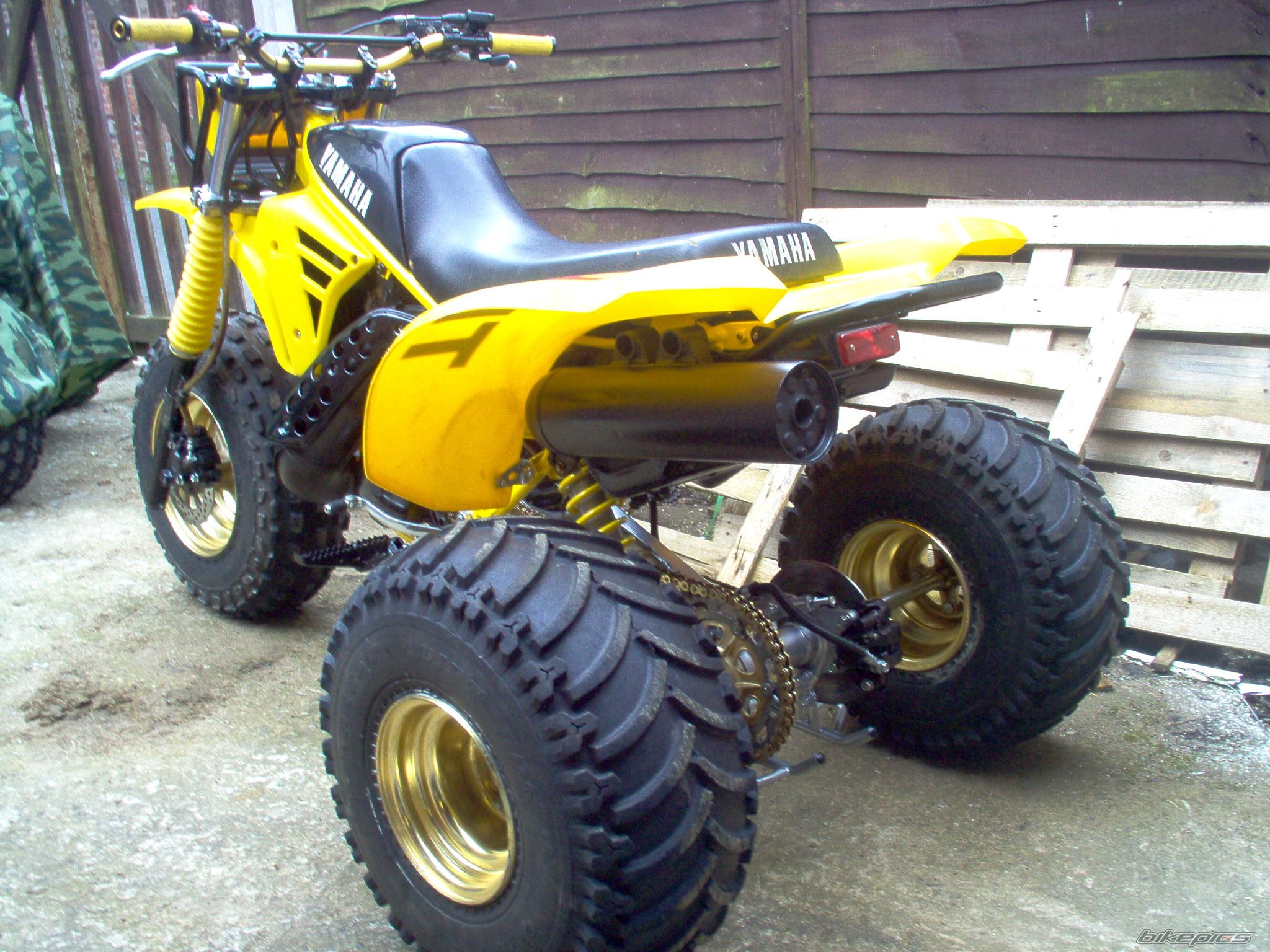 1985 YAMAHA YTZ 250 | Picture 1965650 motorcycle photo