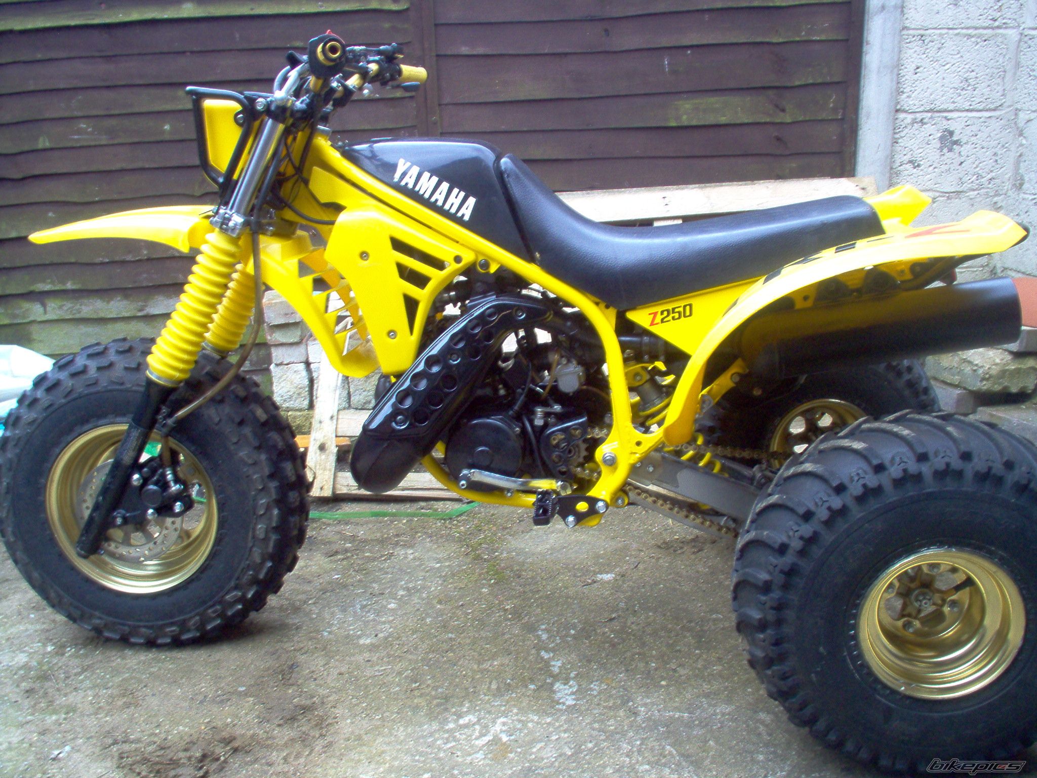 1985 YAMAHA YTZ 250 | Picture 1965651 motorcycle photo