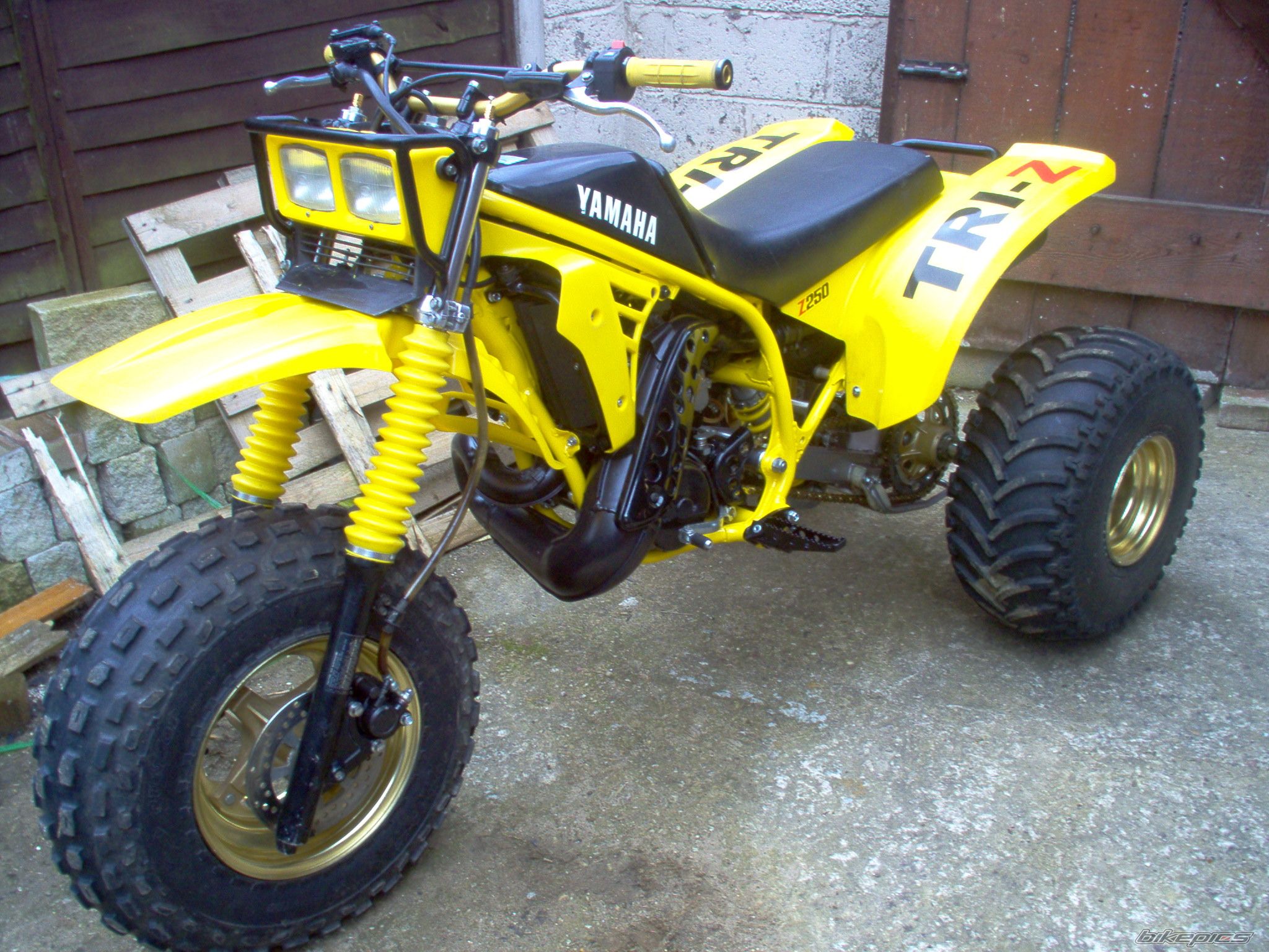 1985 YAMAHA YTZ 250 | Picture 1965652 motorcycle photo