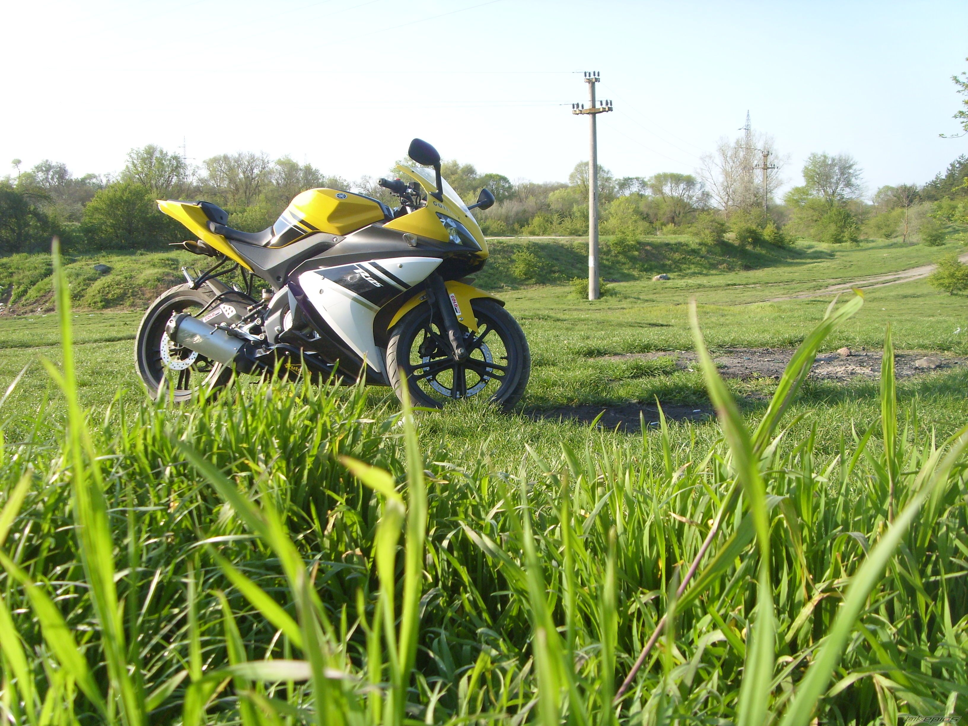 2008 YAMAHA YZF R125 | Picture 1965825 motorcycle photo
