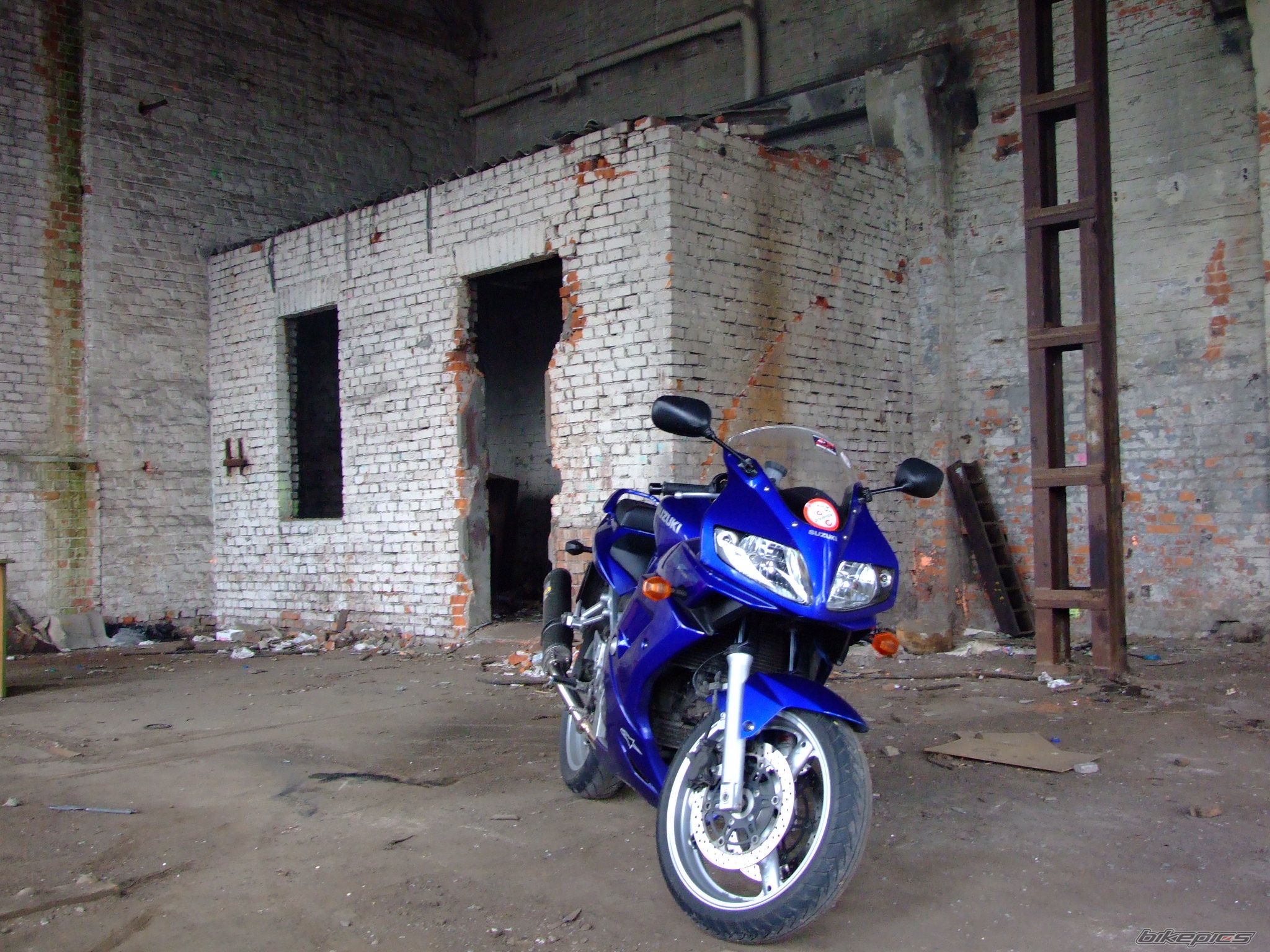 2004 SUZUKI SV 650S | Picture 1965839 motorcycle photo