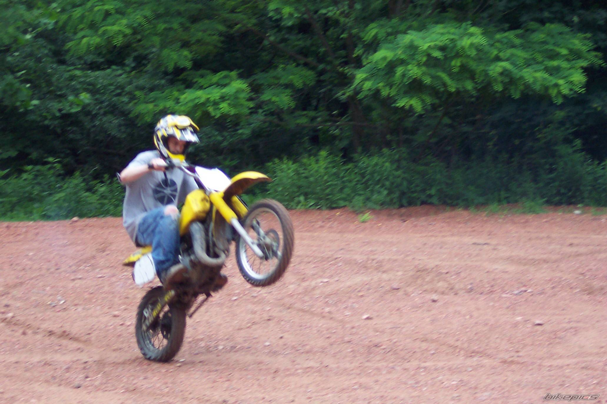 1996 SUZUKI RM 80 | Picture 196588 motorcycle photo