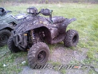 2005 POLARIS SCRAMBLER 500 | Picture 1966017 motorcycle photo
