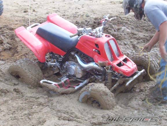 1999 YAMAHA WARRIOR | Picture 196609 motorcycle photo