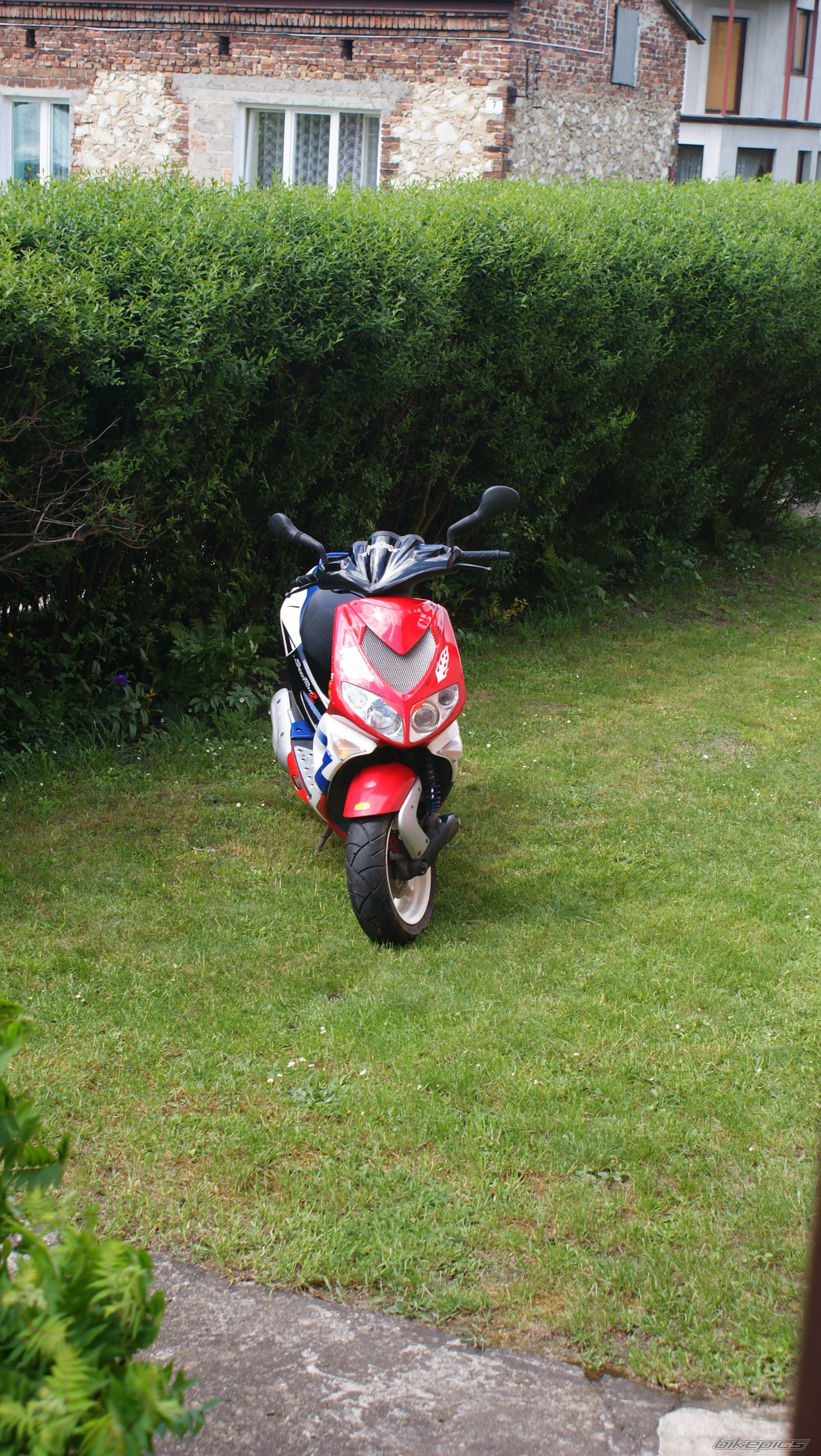 2004 PEUGEOT SPEEDFIGHT2 50 | Picture 1966621 motorcycle photo