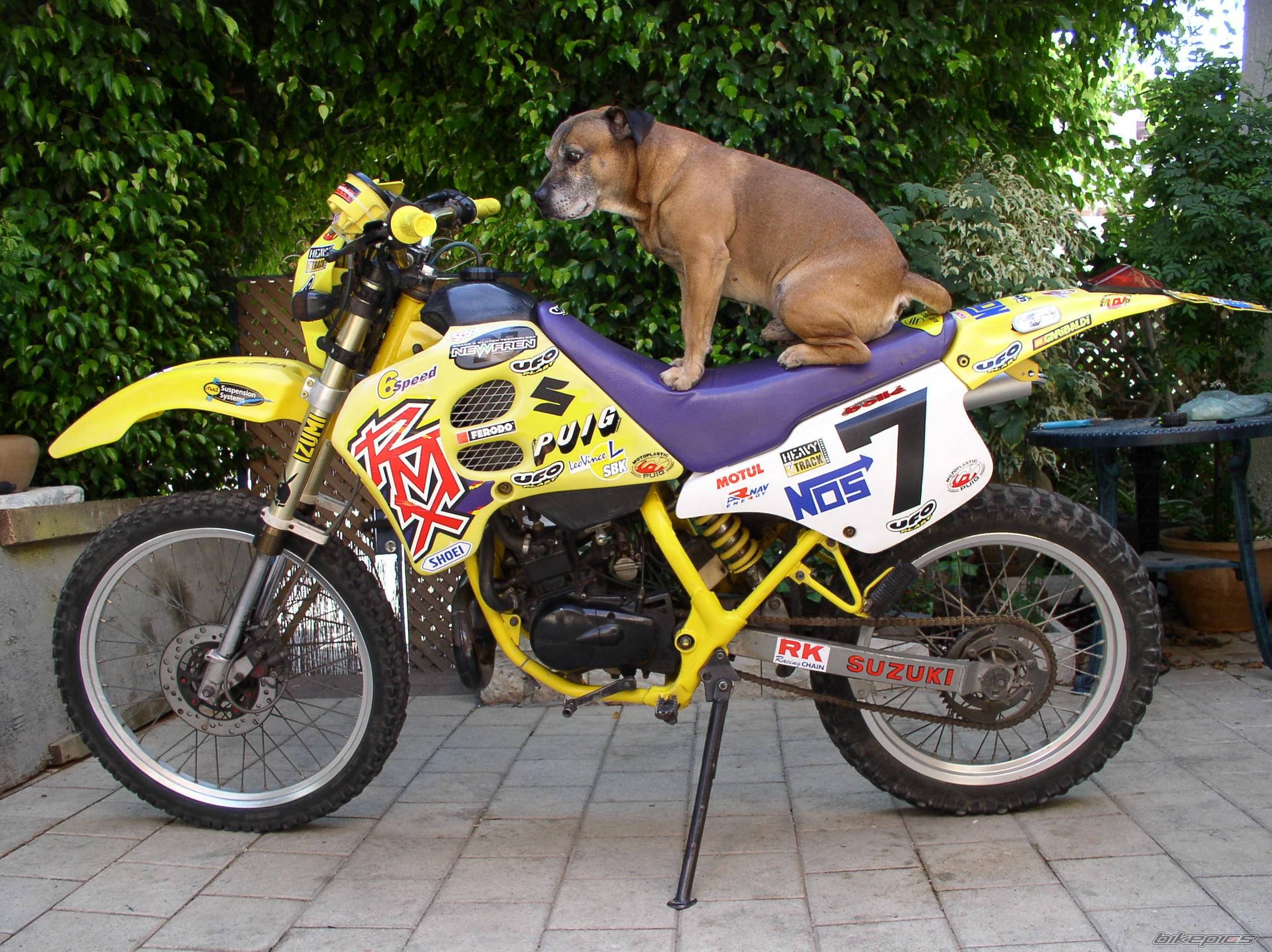 2004 SUZUKI RMX 50 | Picture 196666 motorcycle photo