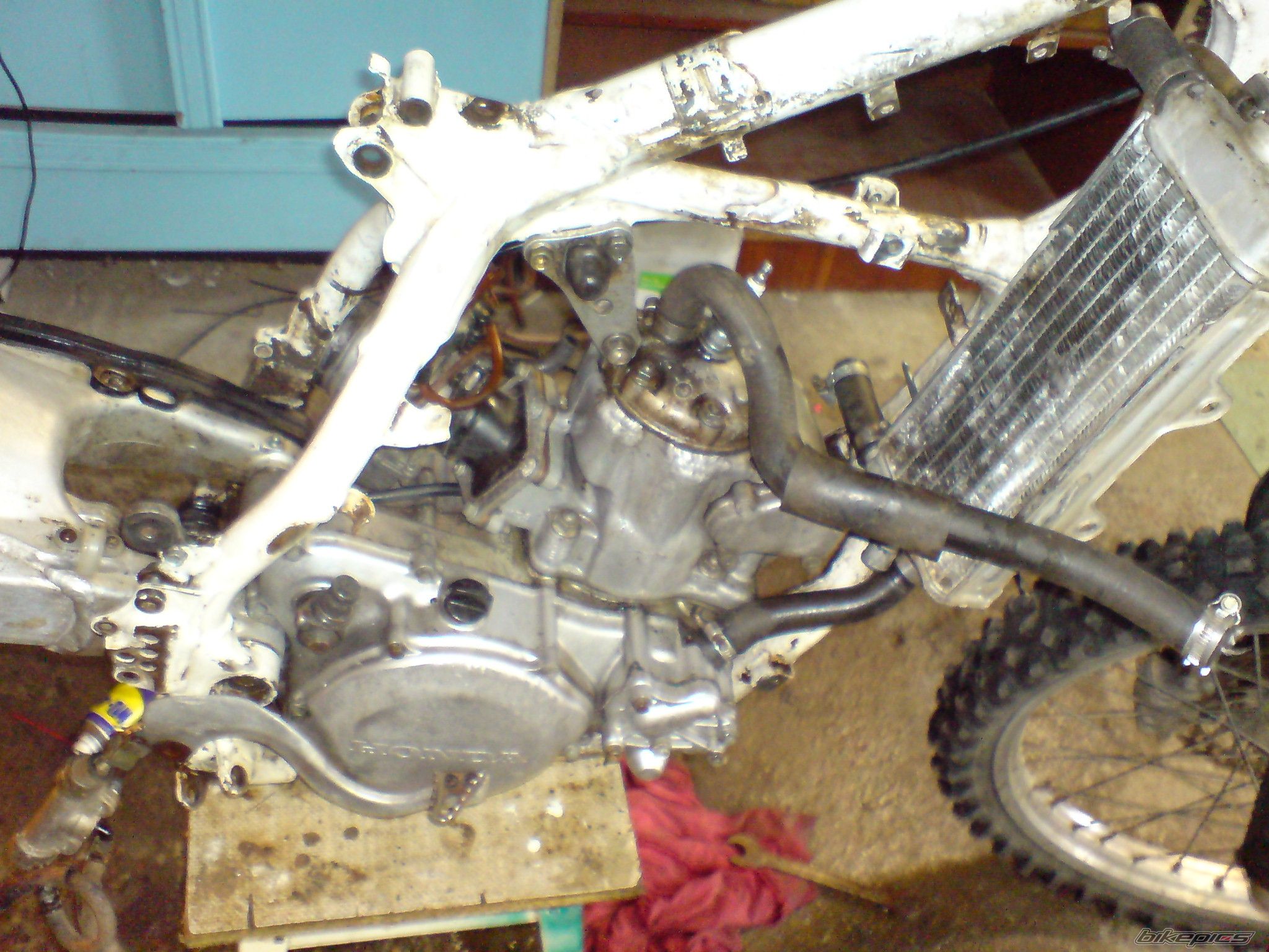 1995 HONDA CR 250 | Picture 1966761 motorcycle photo