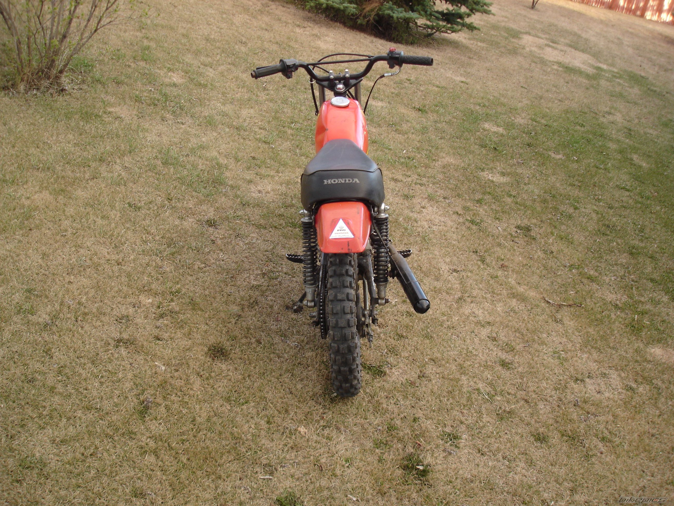 1978 HONDA XL 75 | Picture 1966873 motorcycle photo