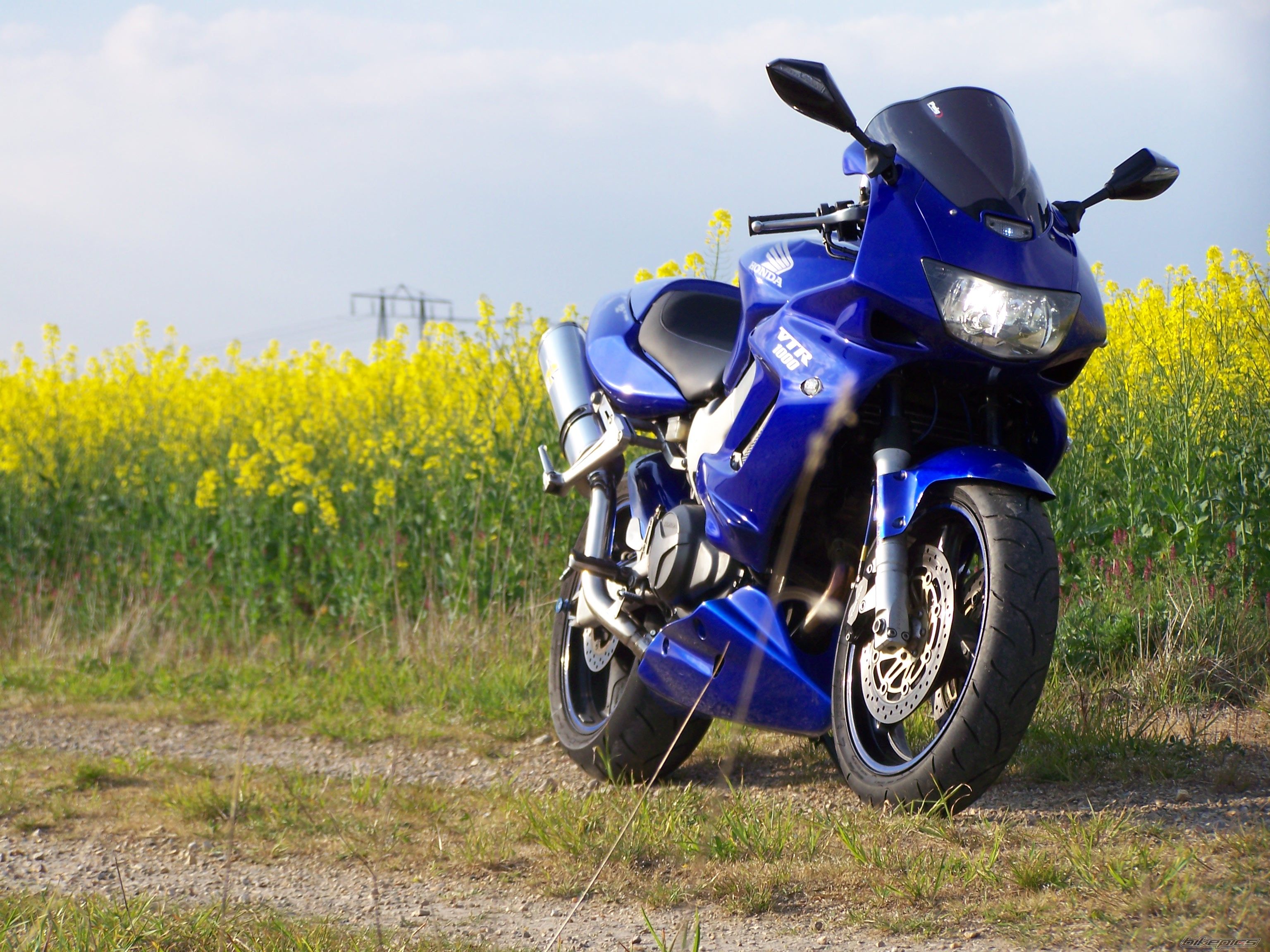 2002 HONDA VTR 1000 | Picture 1968685 motorcycle photo