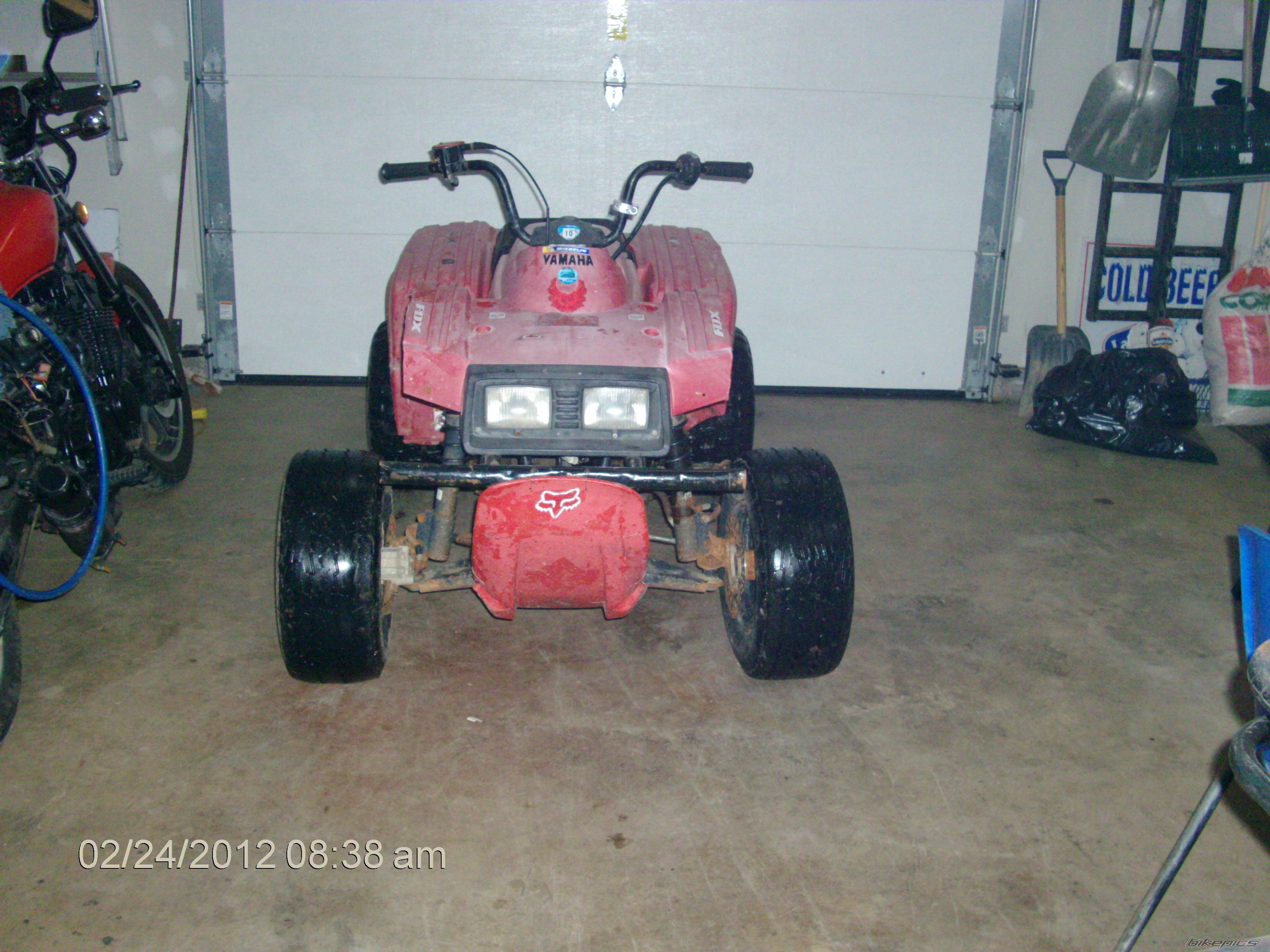 2002 YAMAHA BEARTRACKER | Picture 1968946 motorcycle photo