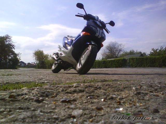 2001 PEUGEOT SPEEDFIGHT2 50 | Picture 1969359 motorcycle photo