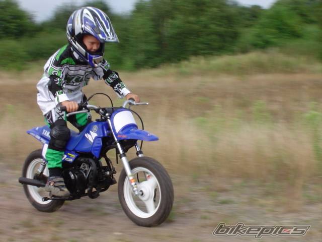 2004 YAMAHA PW 50 | Picture 196937 motorcycle photo