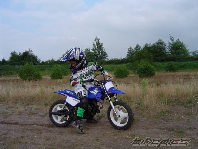 2004 YAMAHA PW 50 | Picture 196939 motorcycle photo