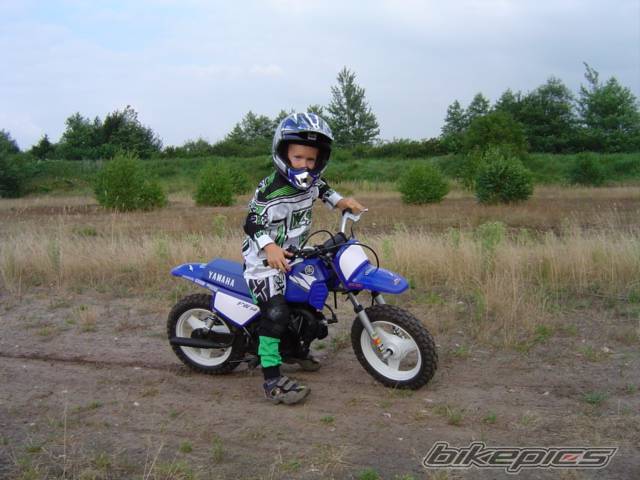 2004 YAMAHA PW 50 | Picture 196941 motorcycle photo