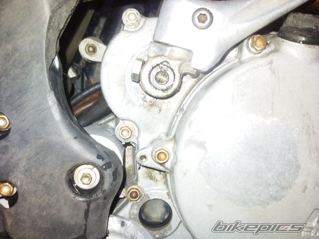 2006 KTM 250 SXF | Picture 1969933 motorcycle photo