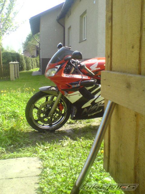 1998 HONDA NSR 125 | Picture 1969969 motorcycle photo