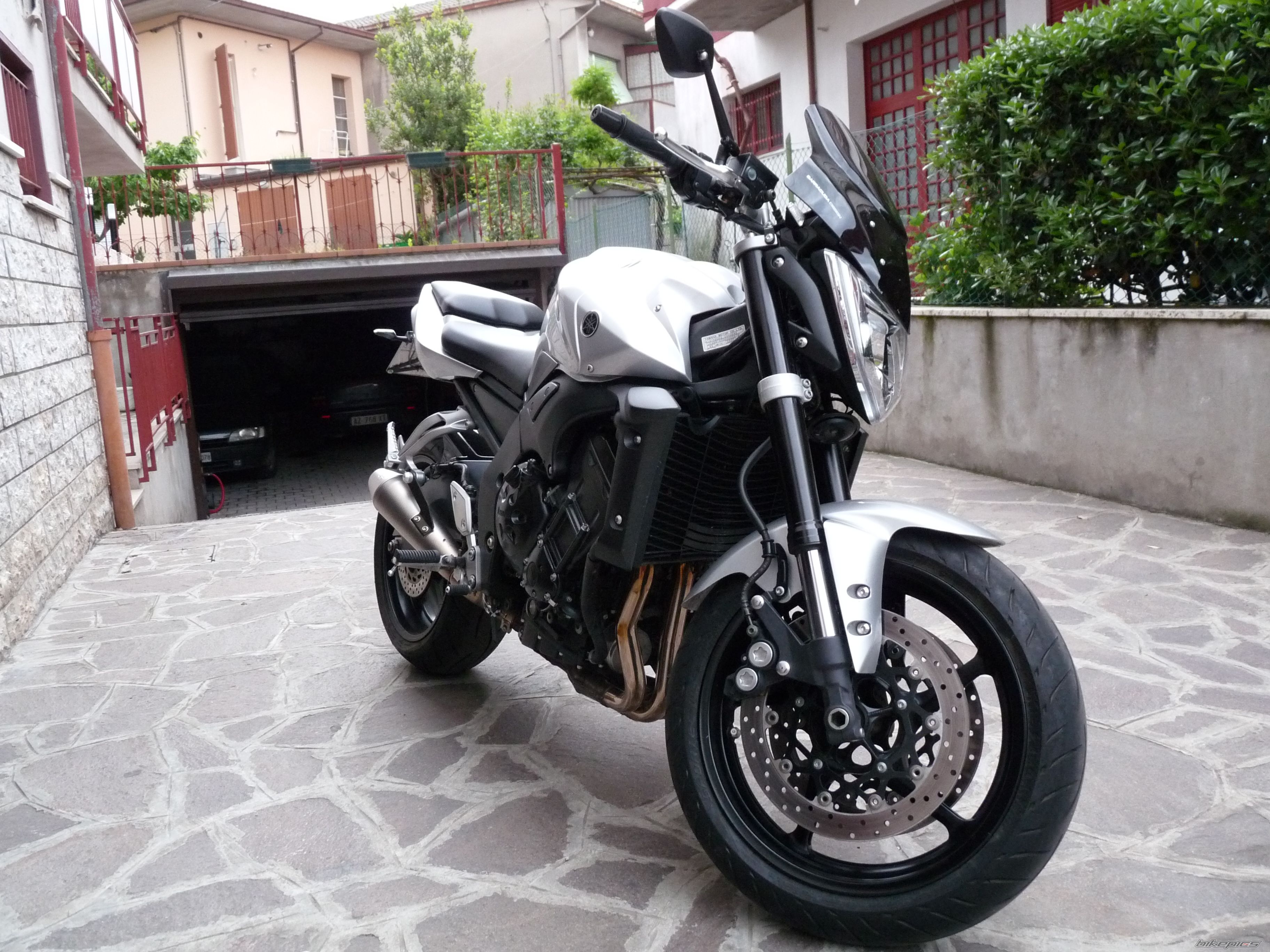 2010 YAMAHA FZ 1N | Picture 1969999 motorcycle photo