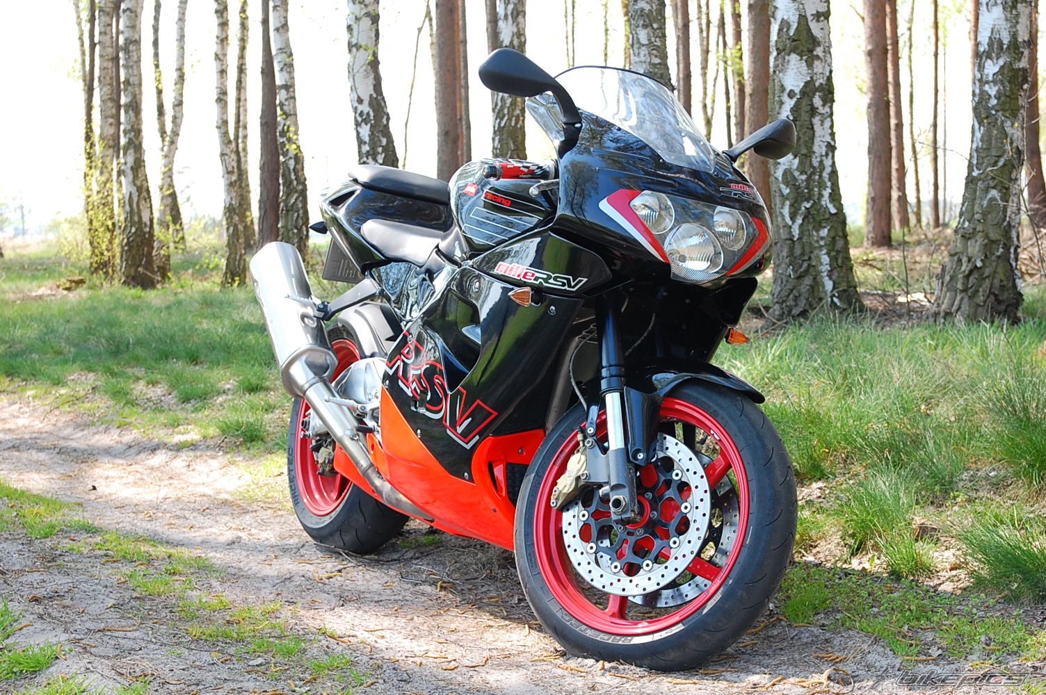 2001 APRILIA RSV 1000 MILLE | Picture 1971267 motorcycle photo
