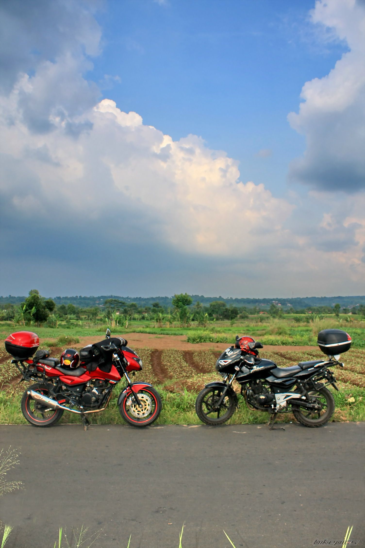 2008 BAJAJ PULSAR 200 | Picture 1971390 motorcycle photo